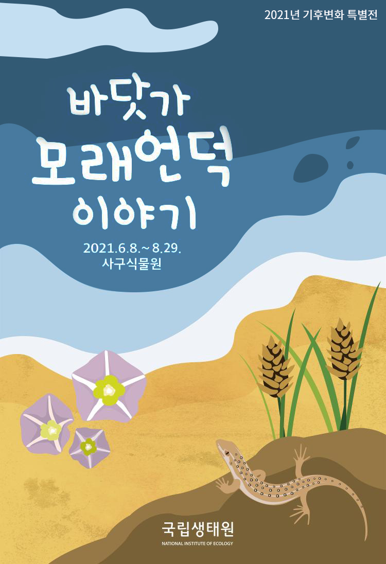바닷가 모래언덕 이야기 - 2021년 기후변화 특별전_6