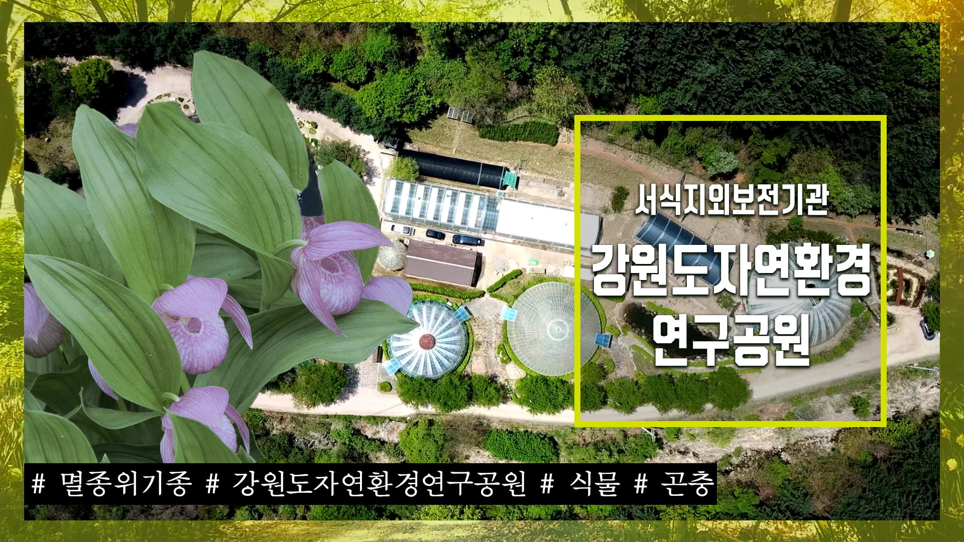 서식지외보전기관 '강원도자연환경연구공원'