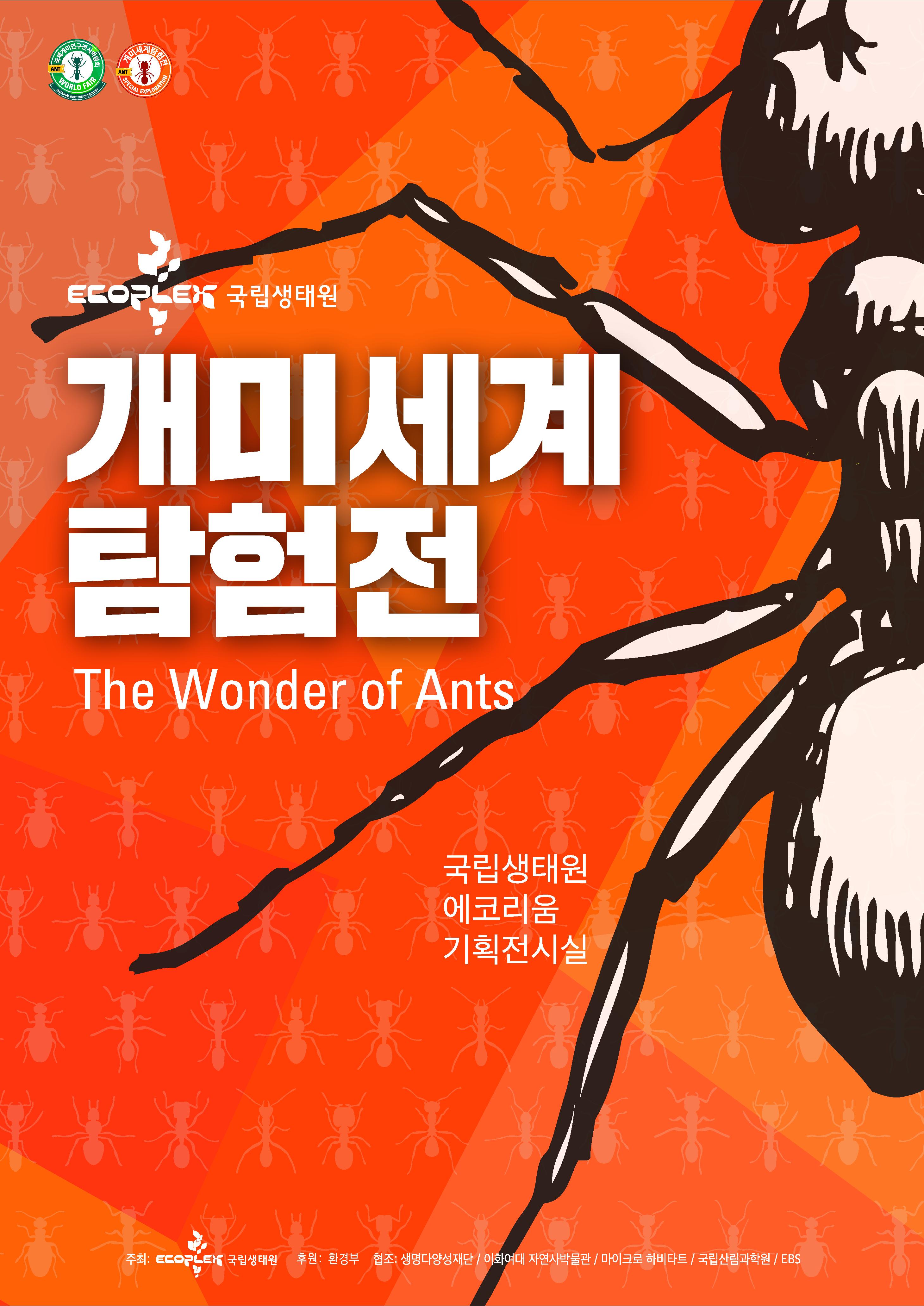 개미세계탐험전-개미과학기지 전시소개