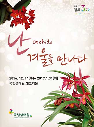 난, 겨울을 만나다