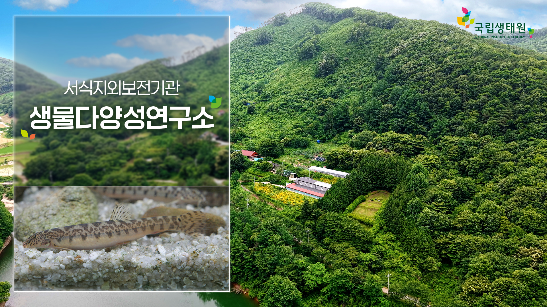 [국립생태원] 부안종개 복원에 힘쓰는 '생물다양성연구소'를 가다!