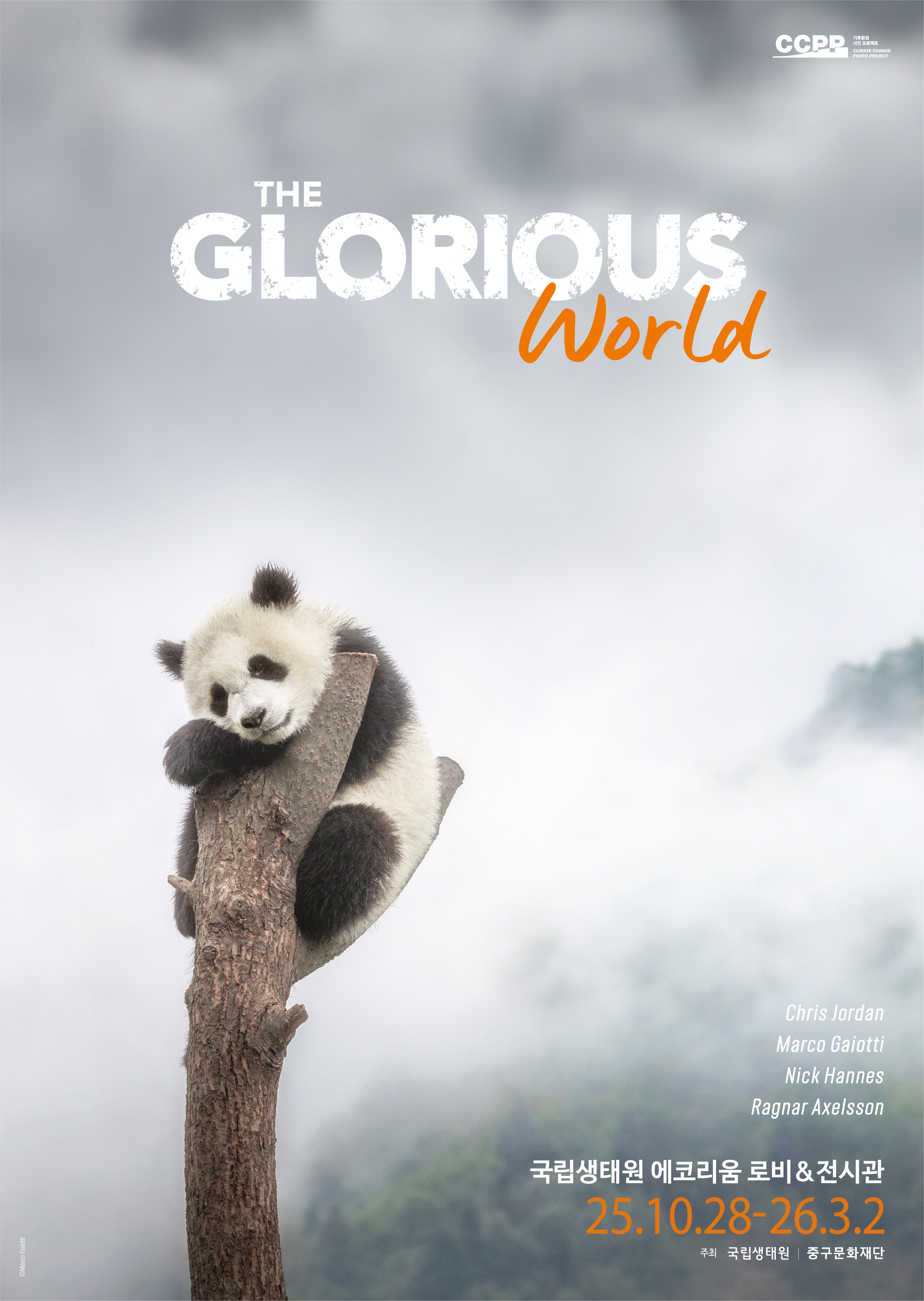 기후환경 사진 프로젝트 ‘The Glorious World’
