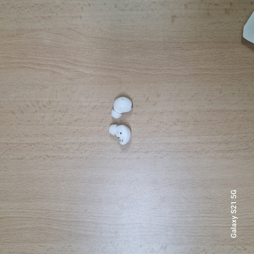 버즈_1