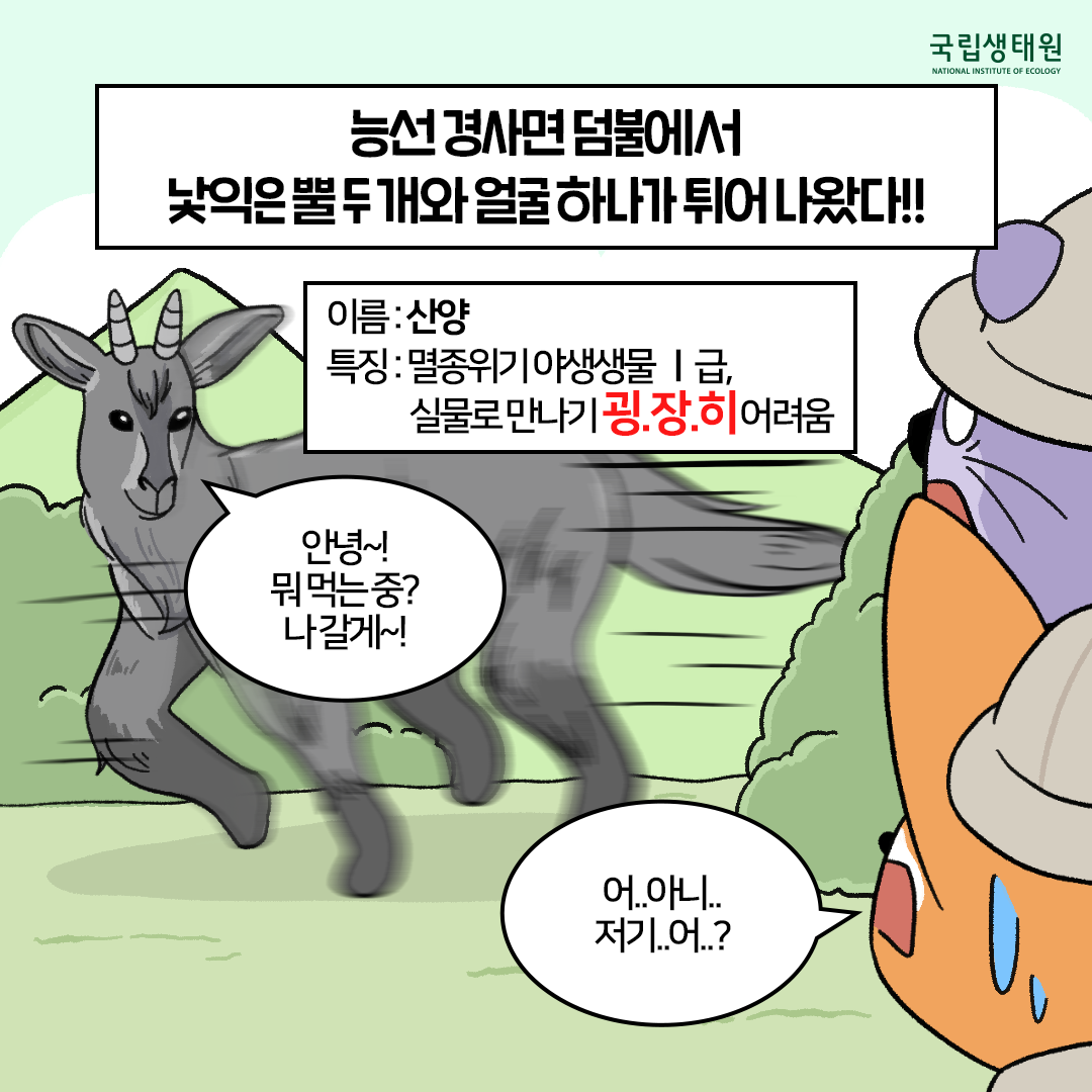 [생태원 사람들] 산양을 마주칠 일은 없었는데요.. 분명 없었는데요.._4