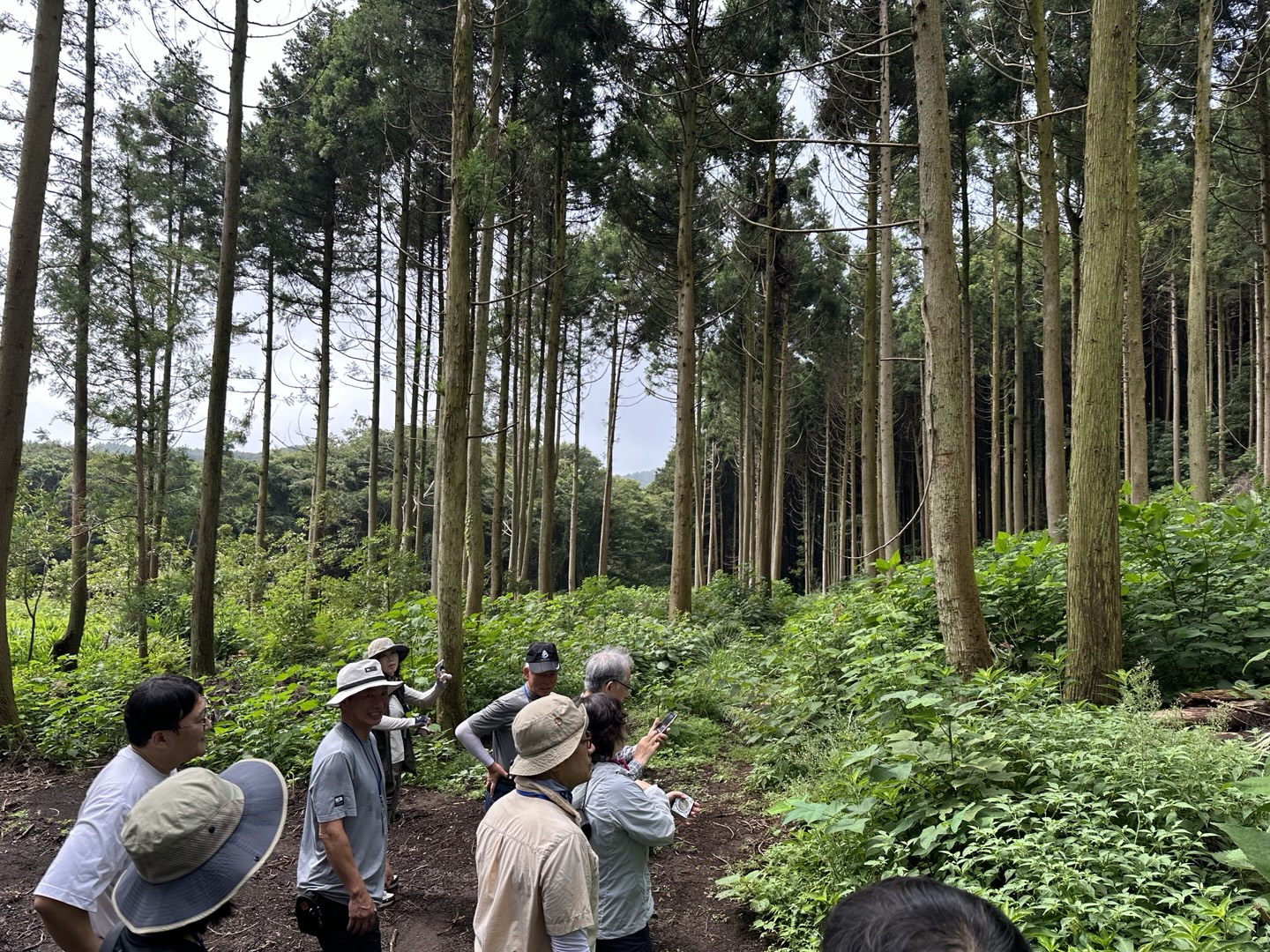  제주지역 생태자원 발굴 및 나무포럼 참석_1