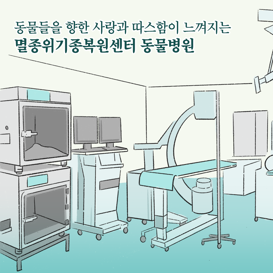 [생태원 사람들] 유리창에 부딪힌 쇠딱다구리... 낭만닥터 김사부를 만나다_6