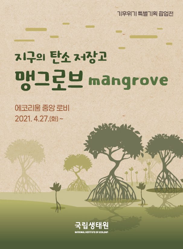 지구의 탄소 저장고 ‘맹그로브’ - mangrove   에코리움 중앙 로비 2021-04-27(화)~ 국립생태원