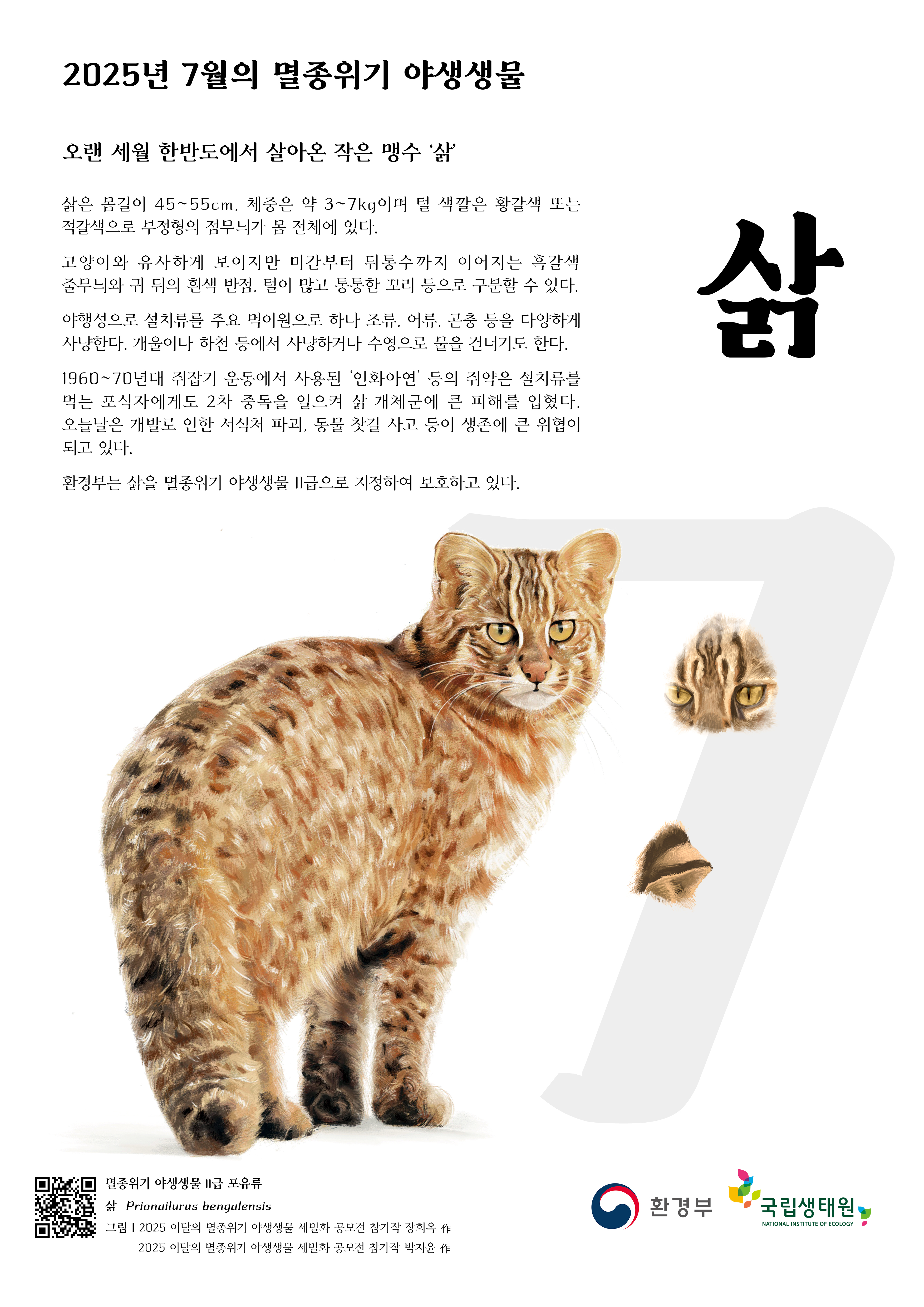 이달의멸종위기야생생물_삵.jpg
