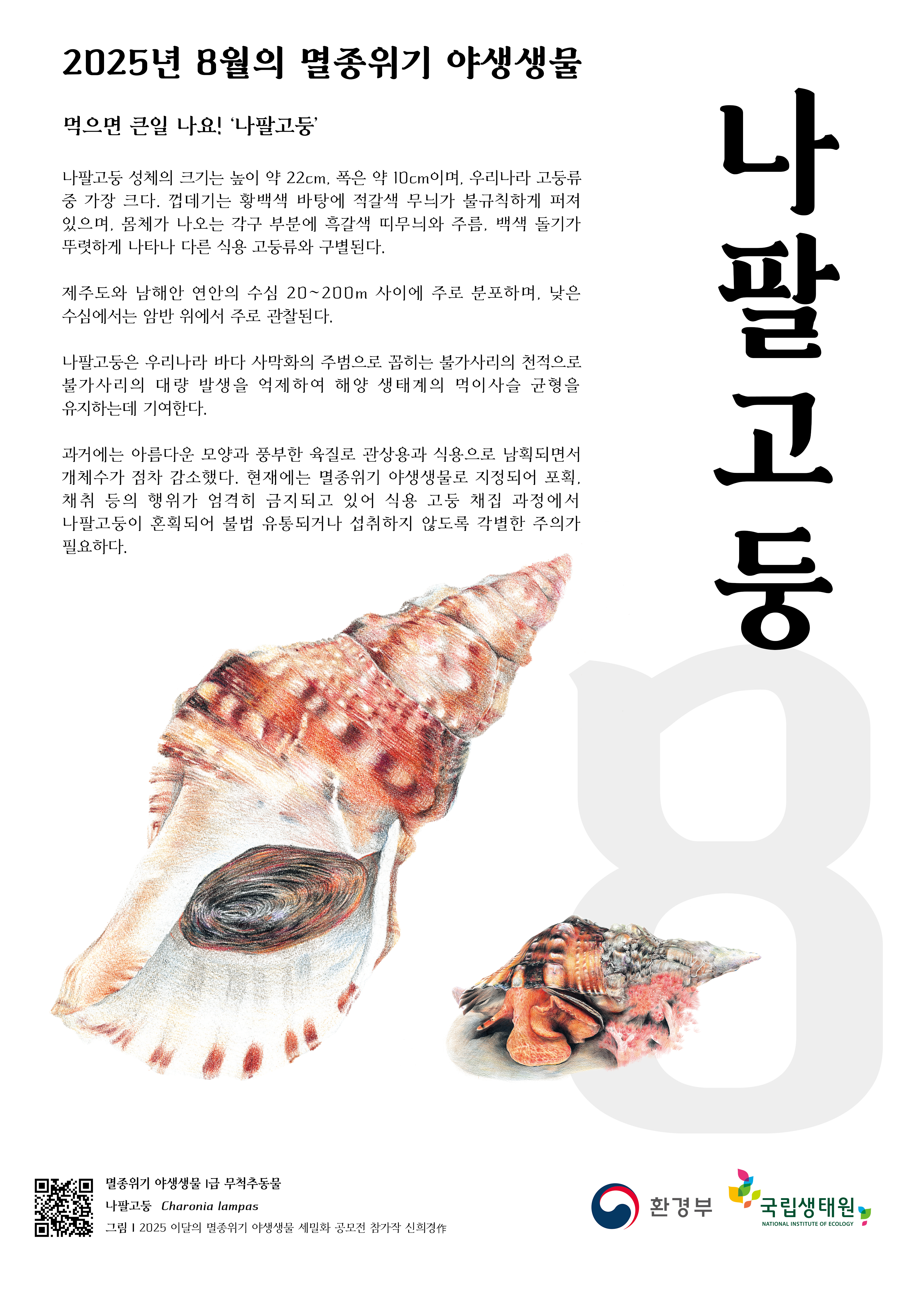 이달의멸종위기야생생물_나팔고둥.jpg