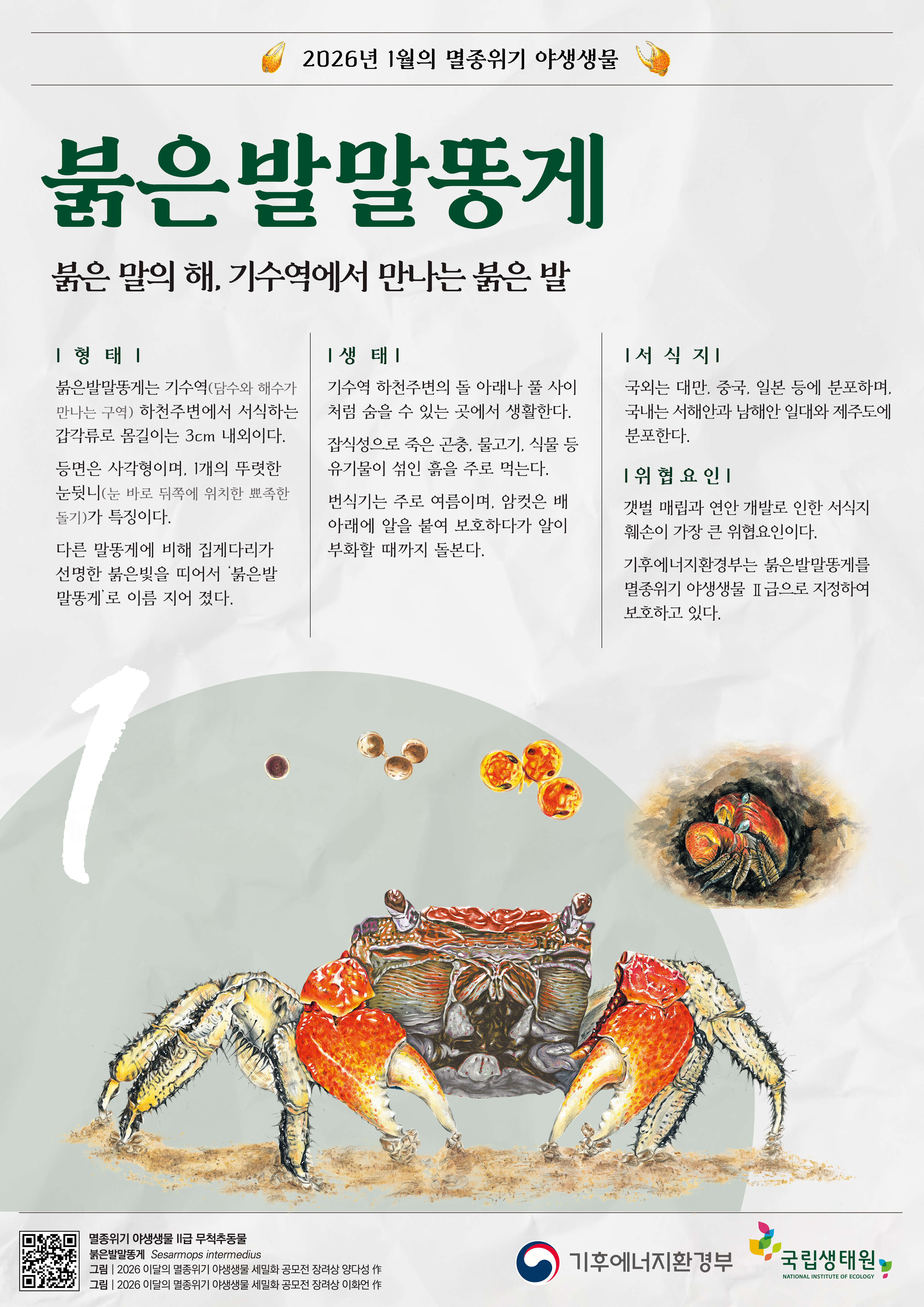 (포스터) 국립생태원_붉은발말똥게.png
