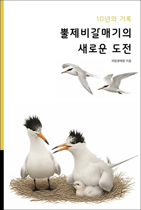 10년의 기록: 뿔제비갈매기의 새로운 도전