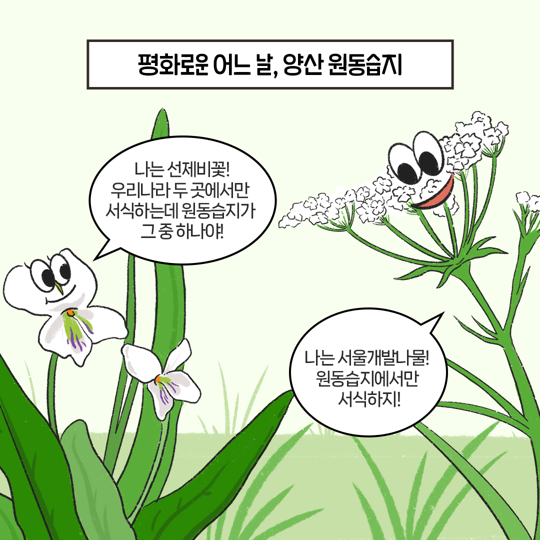 [생태원 사람들] 특명! 서식지를 지켜라_2
