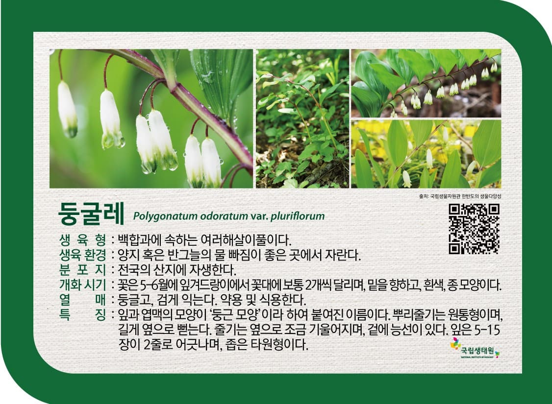 봄, 우리 들꽃 이름의 유래 -  2021-04-23(금) ~ 2021-05-30(일) 국립생태원_2