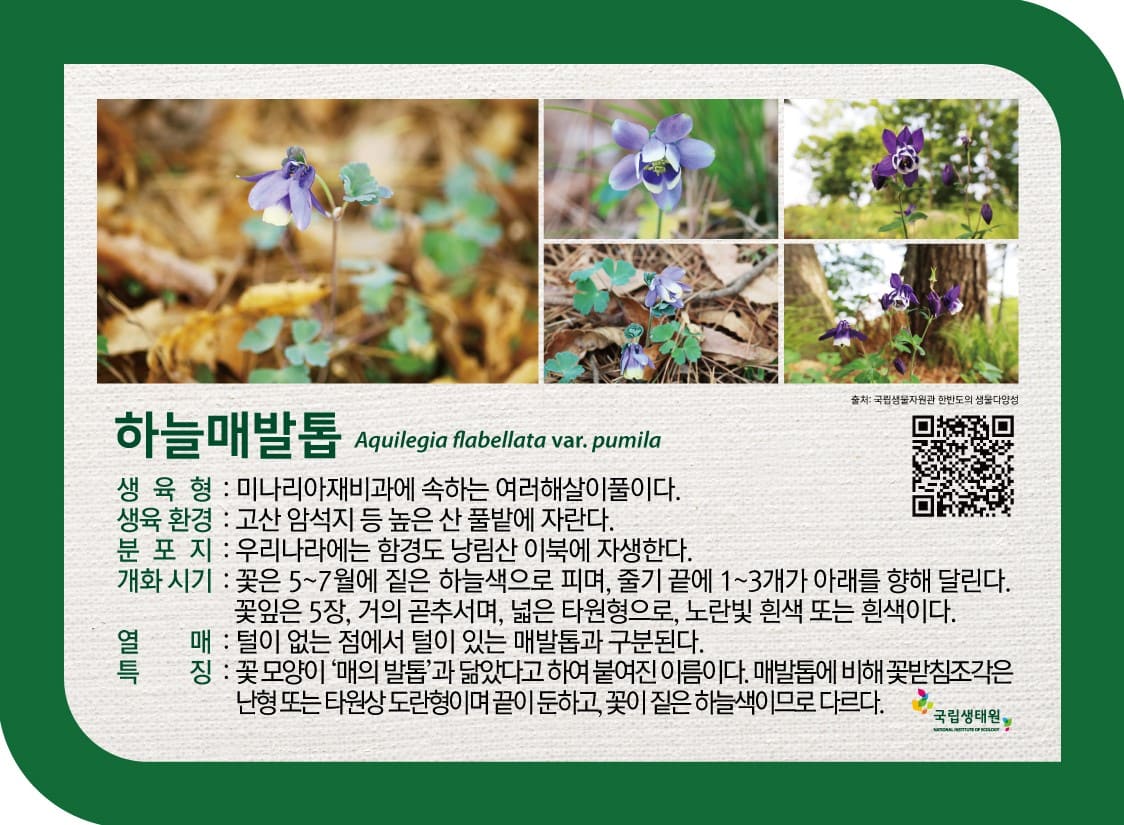 봄, 우리 들꽃 이름의 유래 -  2021-04-23(금) ~ 2021-05-30(일) 국립생태원_4