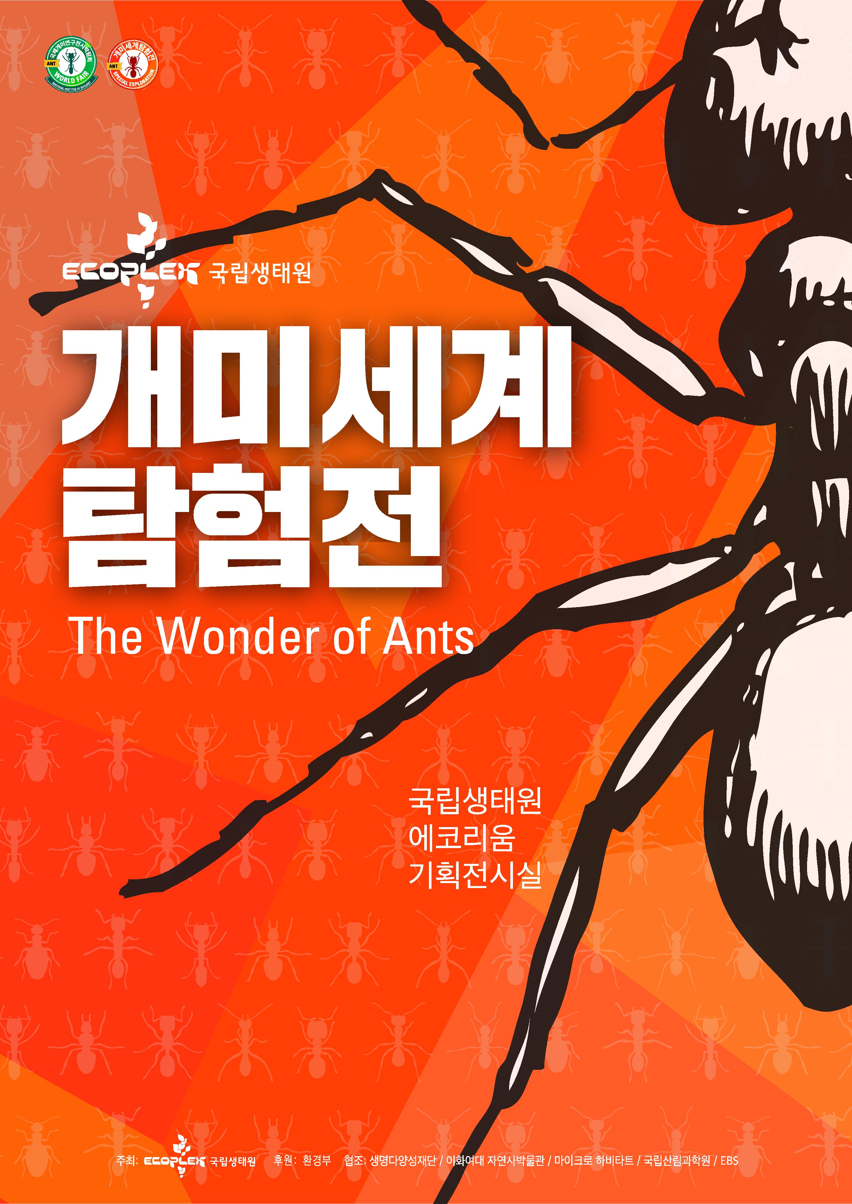 개미세계탐험전-개미과학기지