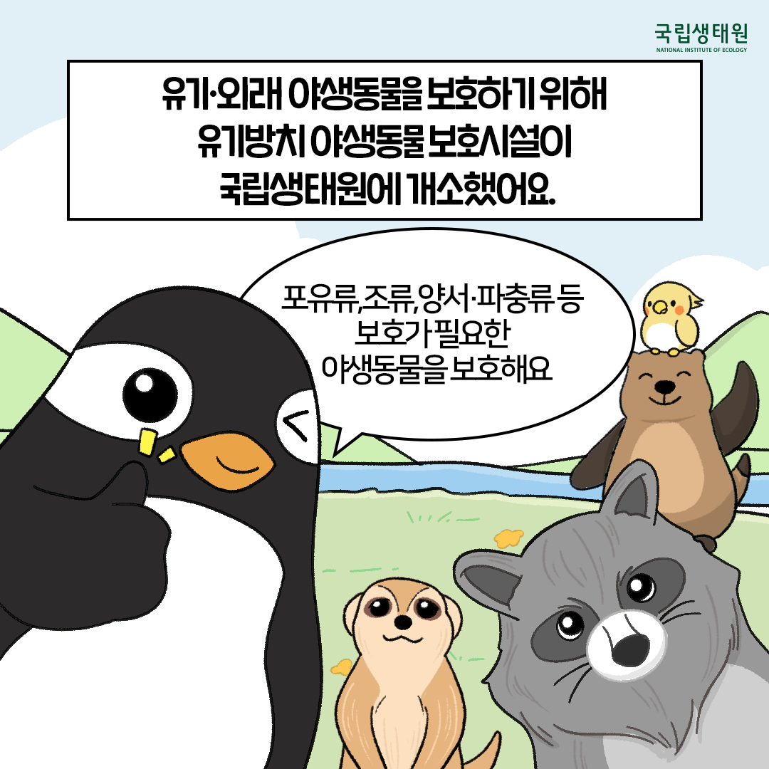 [생태원 사람들] 예? 멸종이요? 유기요? 부서 이름이 너무해_3