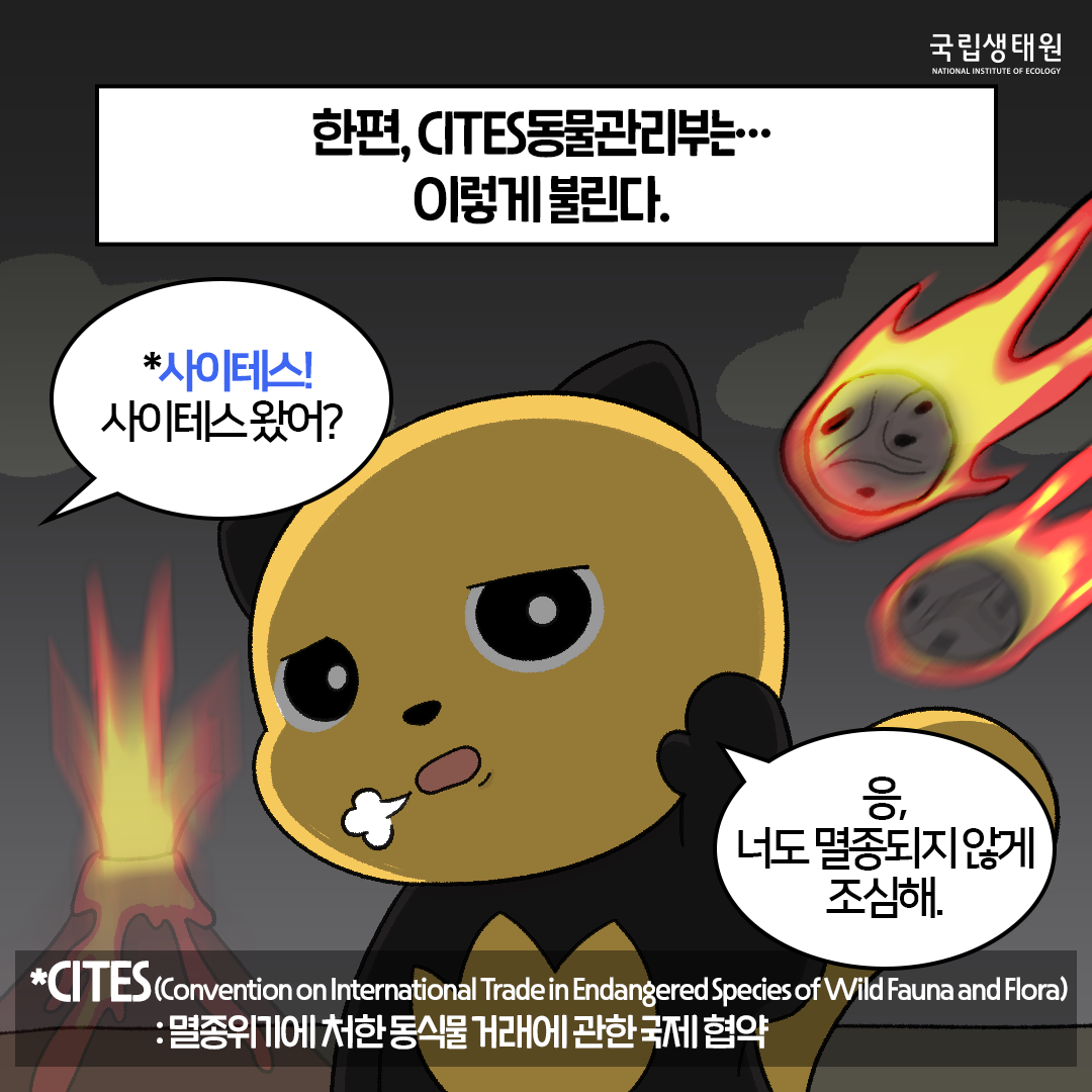 [생태원 사람들] 예? 멸종이요? 유기요? 부서 이름이 너무해_5