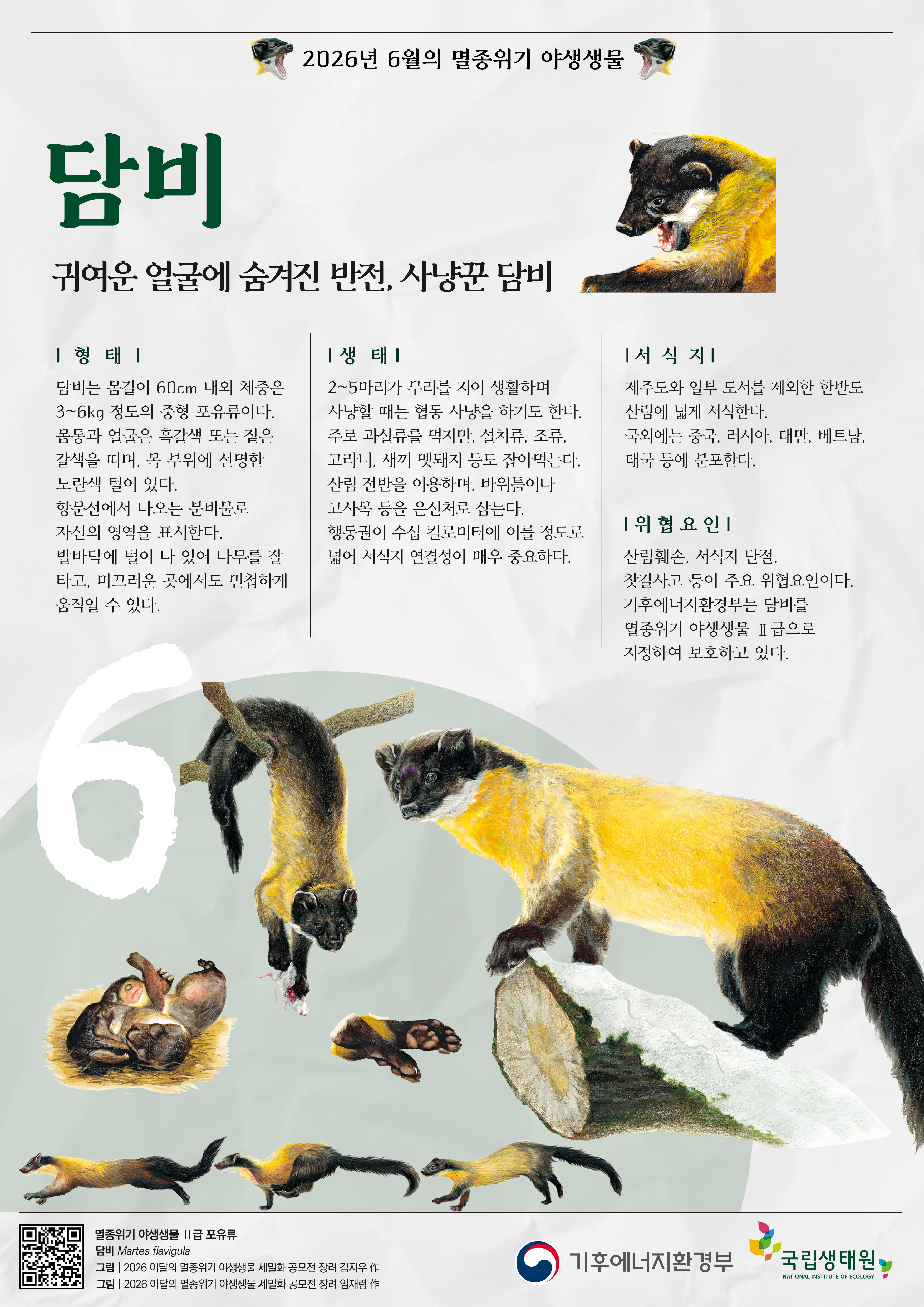 붙임2. 6월 담비 포스터(2026.5.21.)_수정_사본.jpg