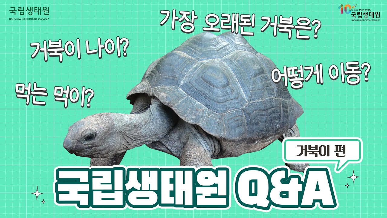 [국립생태원 Q&A 무엇이든 대답합니다 – 거북이 편]
