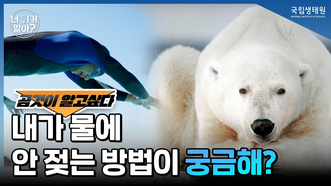 [국립생태원] 북극곰, 사실 흰색이 아니라 투명이라곰?!