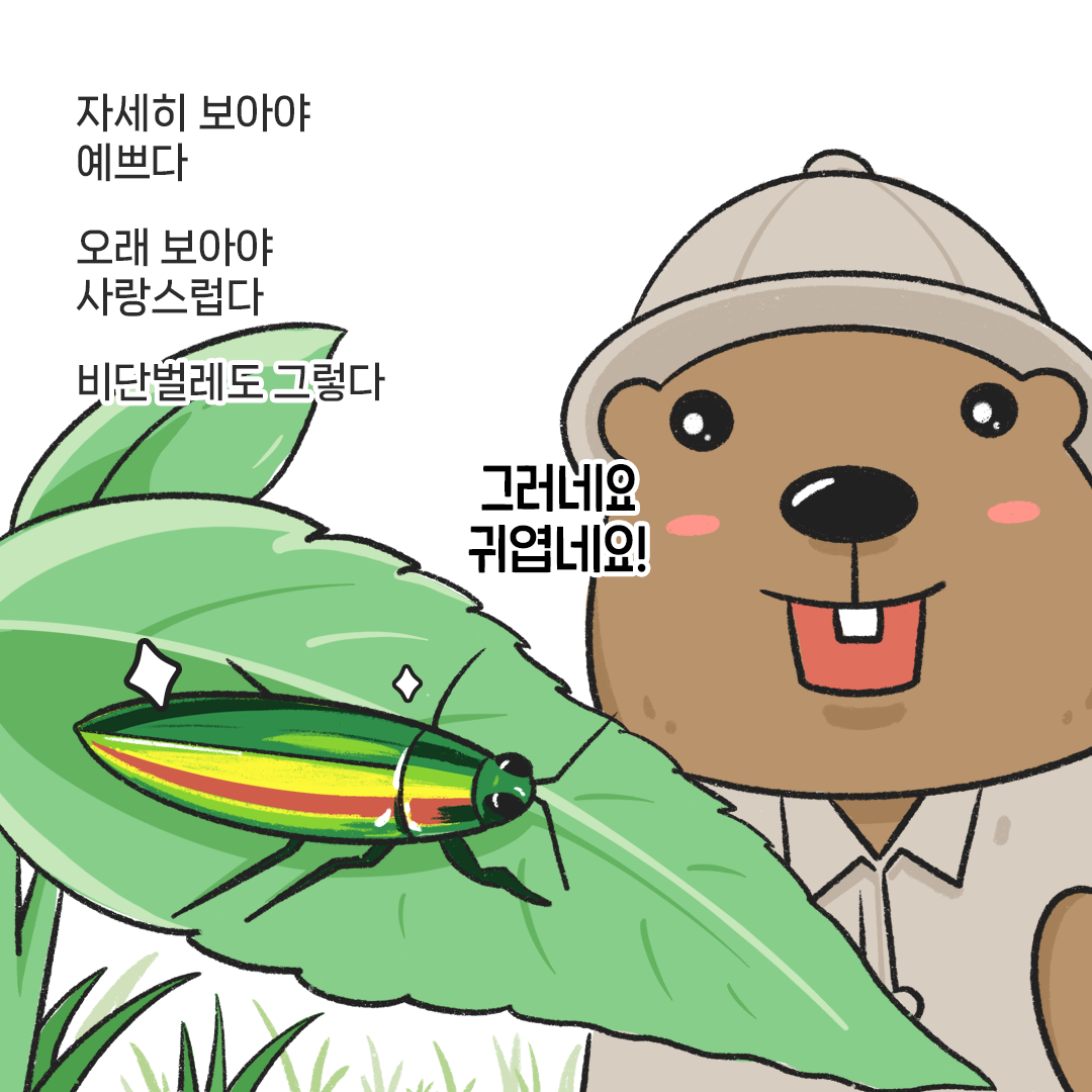 [생태원 사람들] 너무나 무섭게 다가왔던 귀한 손님_6