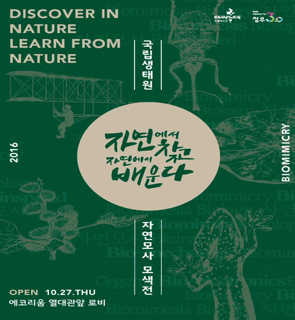 자연모사 모색전 <자연에서 찾고, 자연에서 배운다> _2
