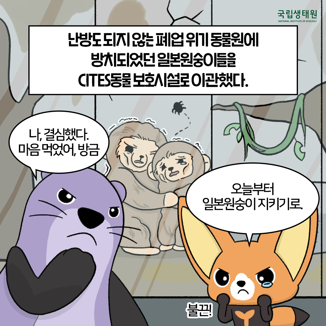 [생태원 사람들] 일본원숭이는… 꽃을 좋아해_2