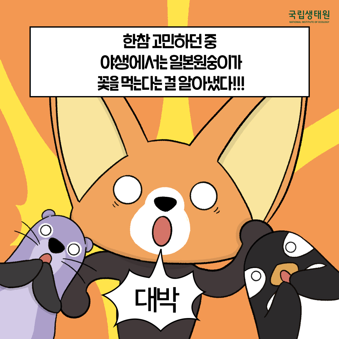 [생태원 사람들] 일본원숭이는… 꽃을 좋아해_4