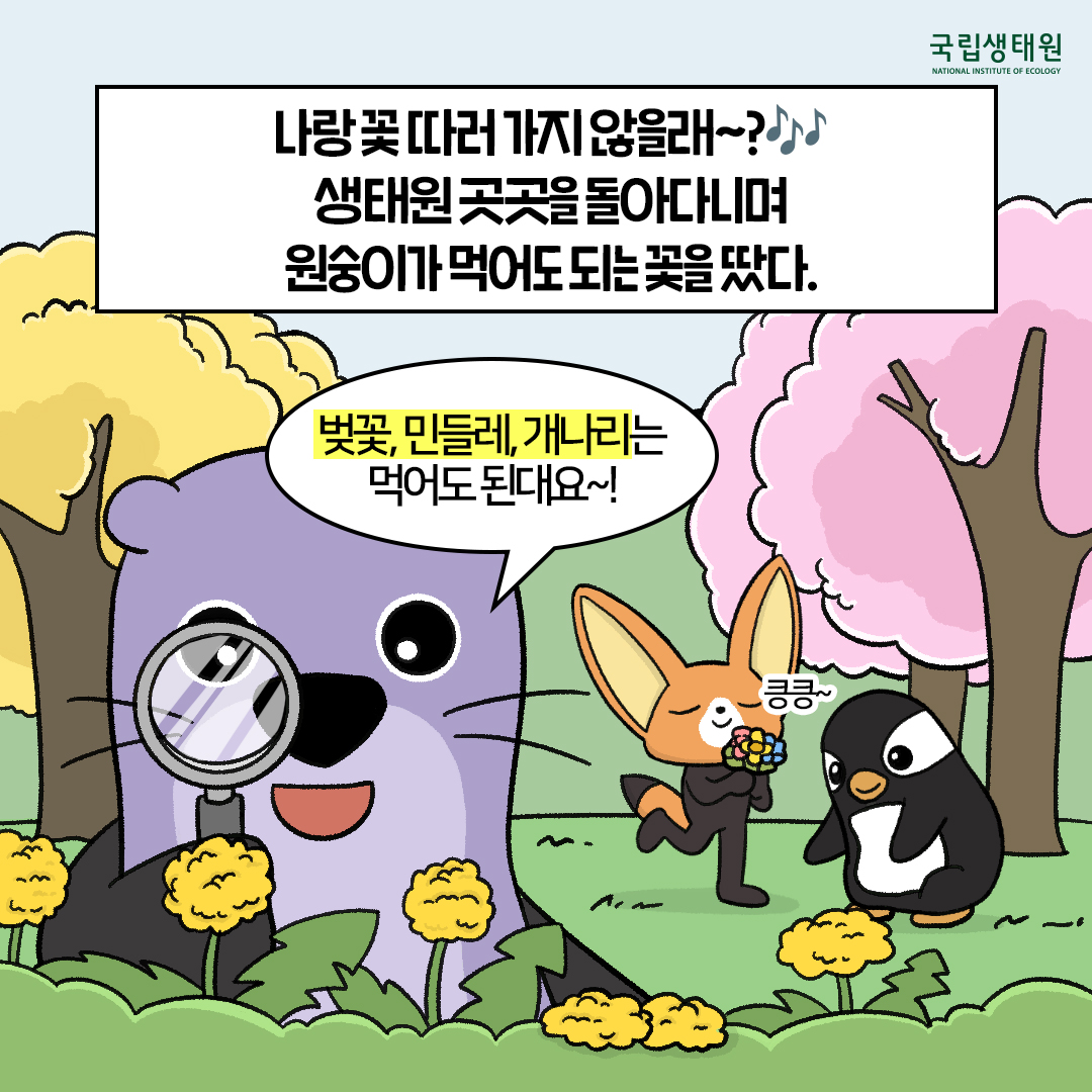 [생태원 사람들] 일본원숭이는… 꽃을 좋아해_5