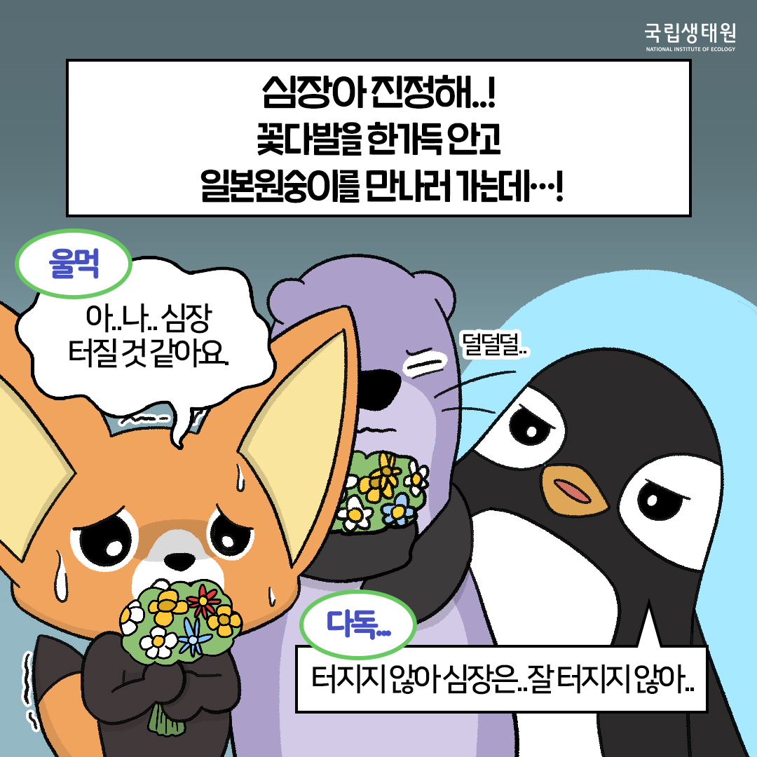 [생태원 사람들] 일본원숭이는… 꽃을 좋아해_6