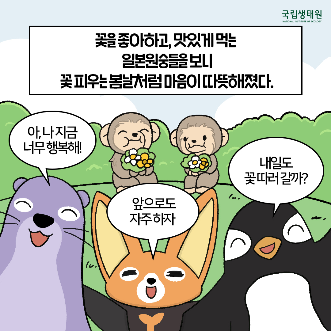 [생태원 사람들] 일본원숭이는… 꽃을 좋아해_8