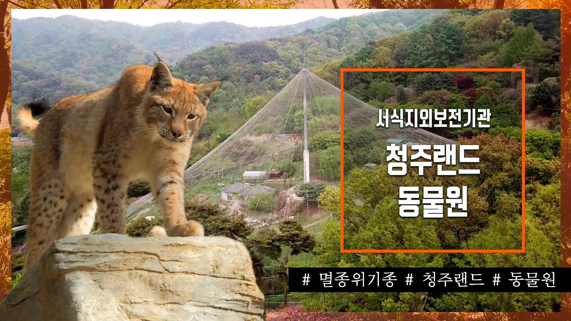 서식지외보전기관 '청주랜드 동물원'