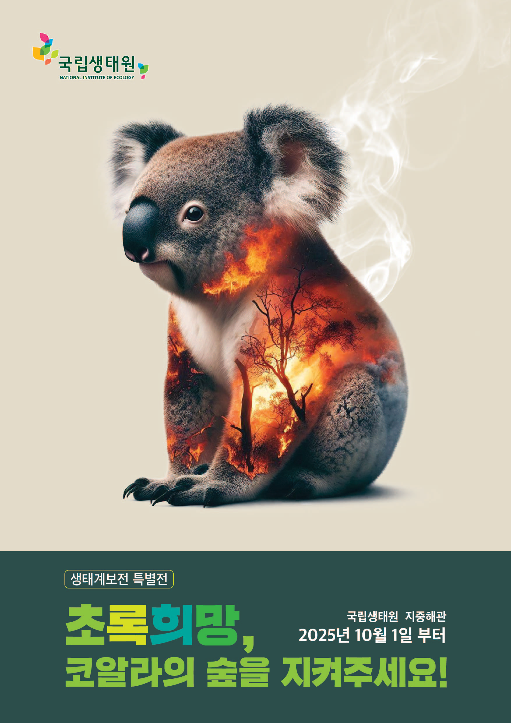 [생태계보전 특별전] 초록희망, 코알라의 숲을 지켜주세요!