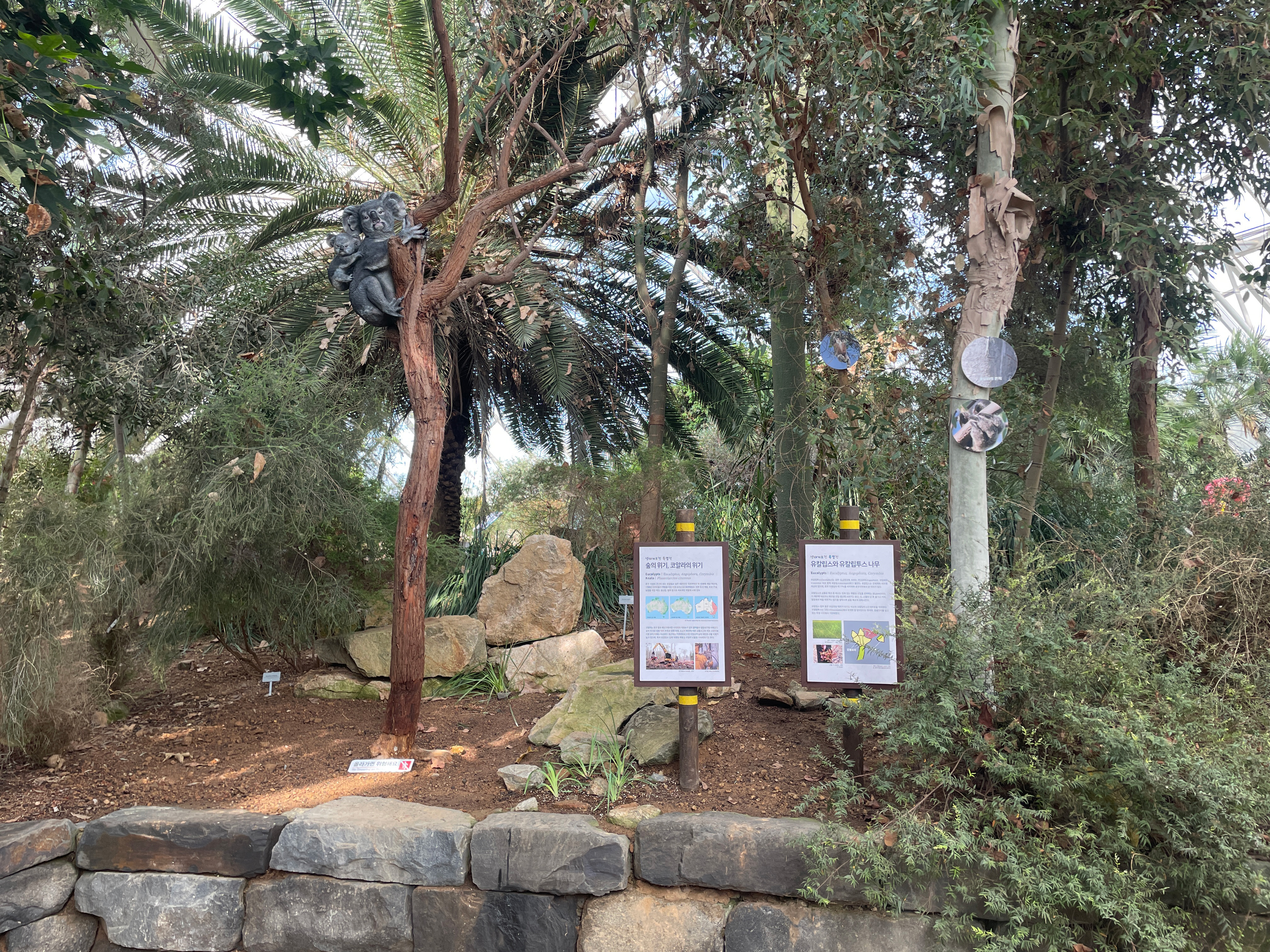 [생태계보전 특별전] 초록희망, 코알라의 숲을 지켜주세요!_2