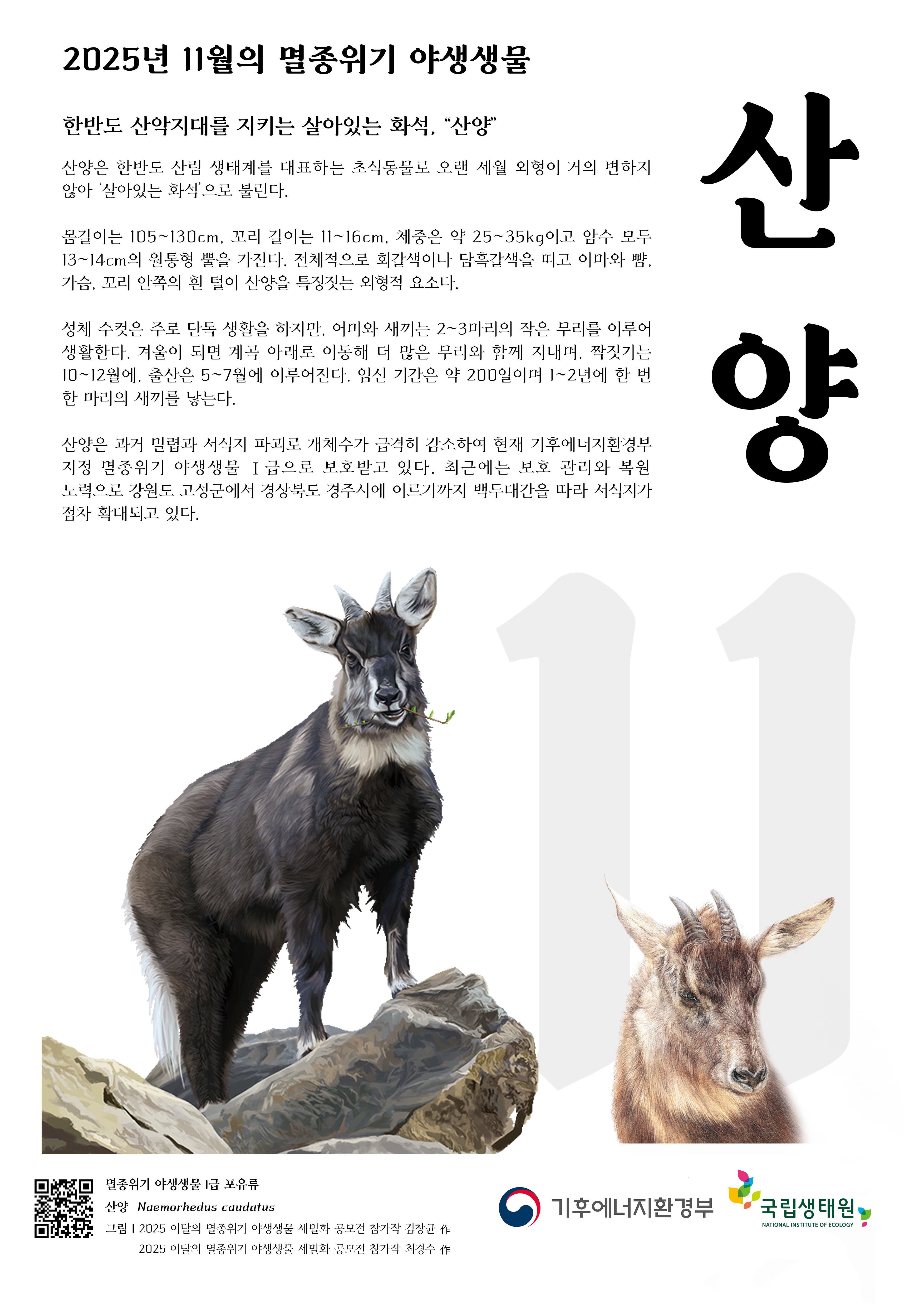 산양 11월_최종본.jpg