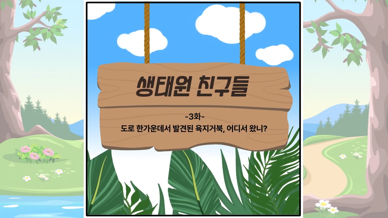 [생태원 친구들 3화] Ep03. 도로 한가운데서 발견된 육지거북, 어디서 왔니?
