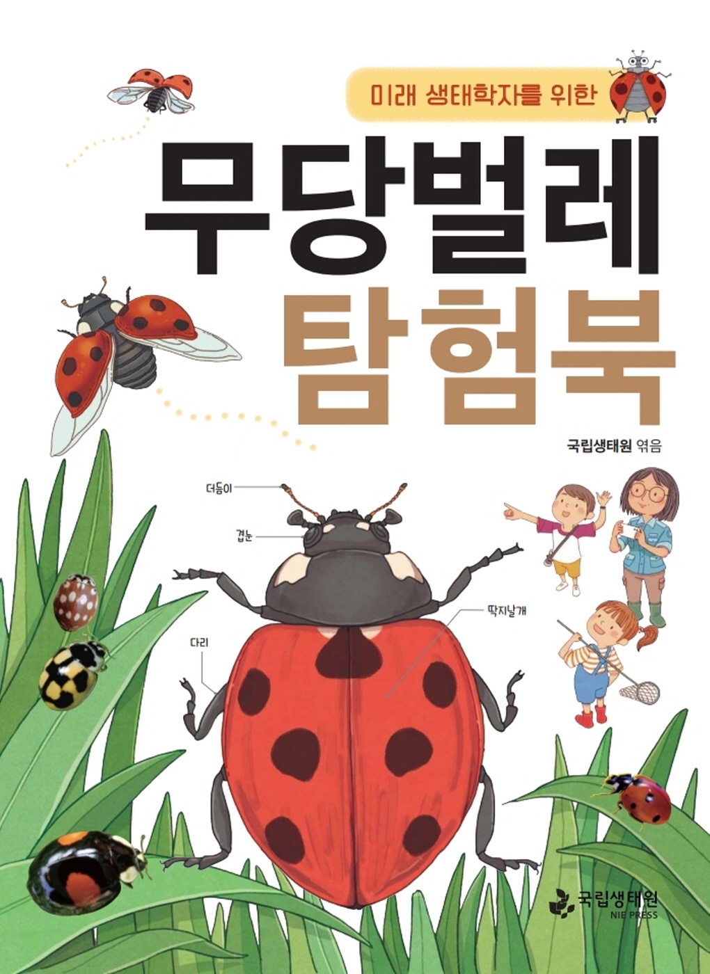 01 무당벌레 앞표지.jpg