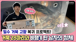 [국립생태원 V-log] 300마리가 양말에?! 베트남 이관 현장에서 만난 충격적인 거북 밀수🐢