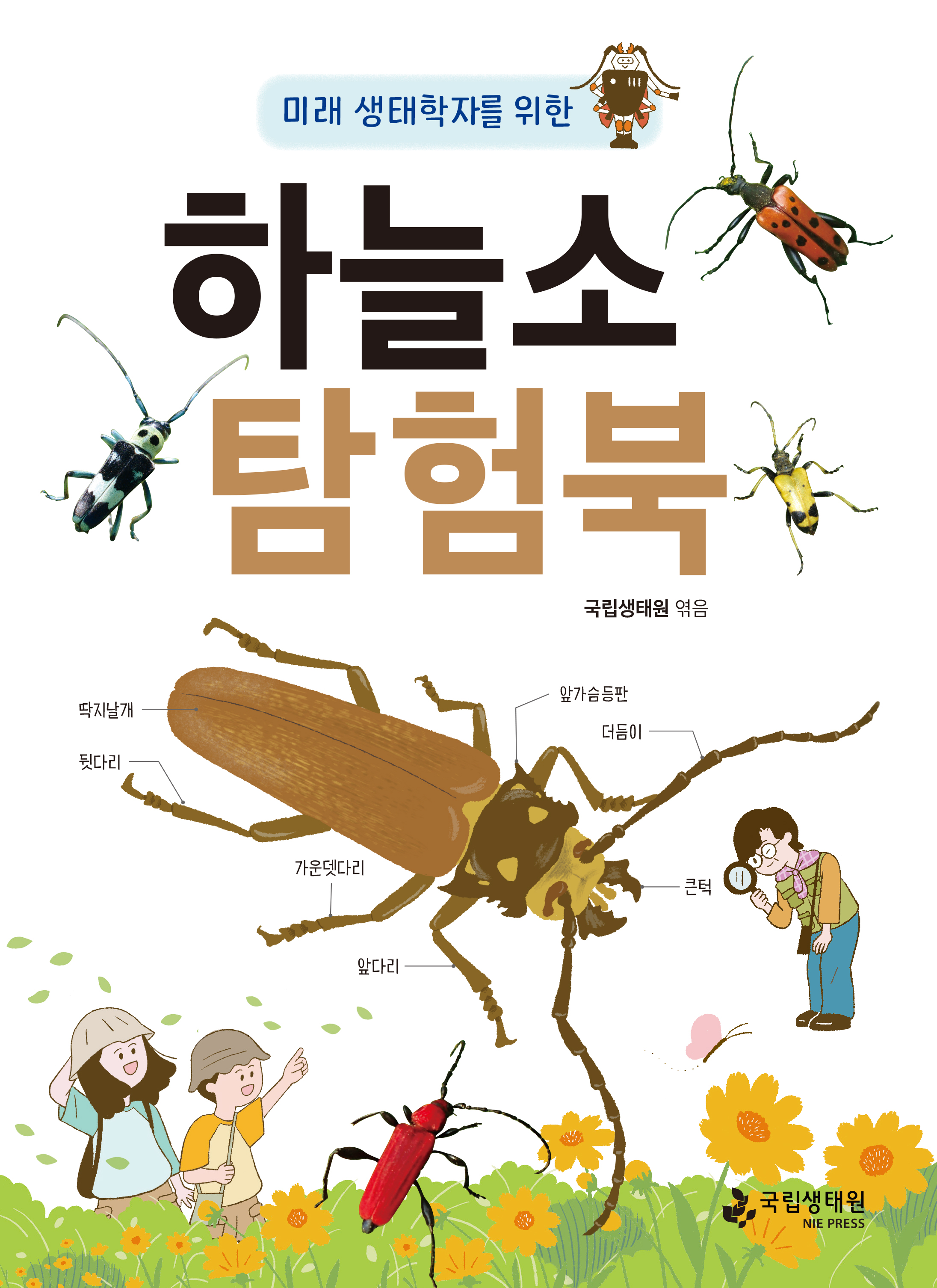 미래 생태학자를 위한 하늘소 탐험북 국립생태원 엮음 딱지날개 뒷다리 가운뎃다리 앞다리 앞가슴등판 더듬이 큰턱 국립생태원 NIE PRESS