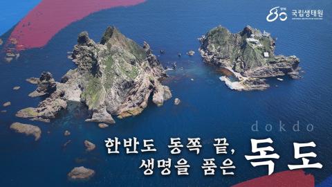 한반도의 아침이 시작되는 곳 독도의 생명을 기록하는 사람들