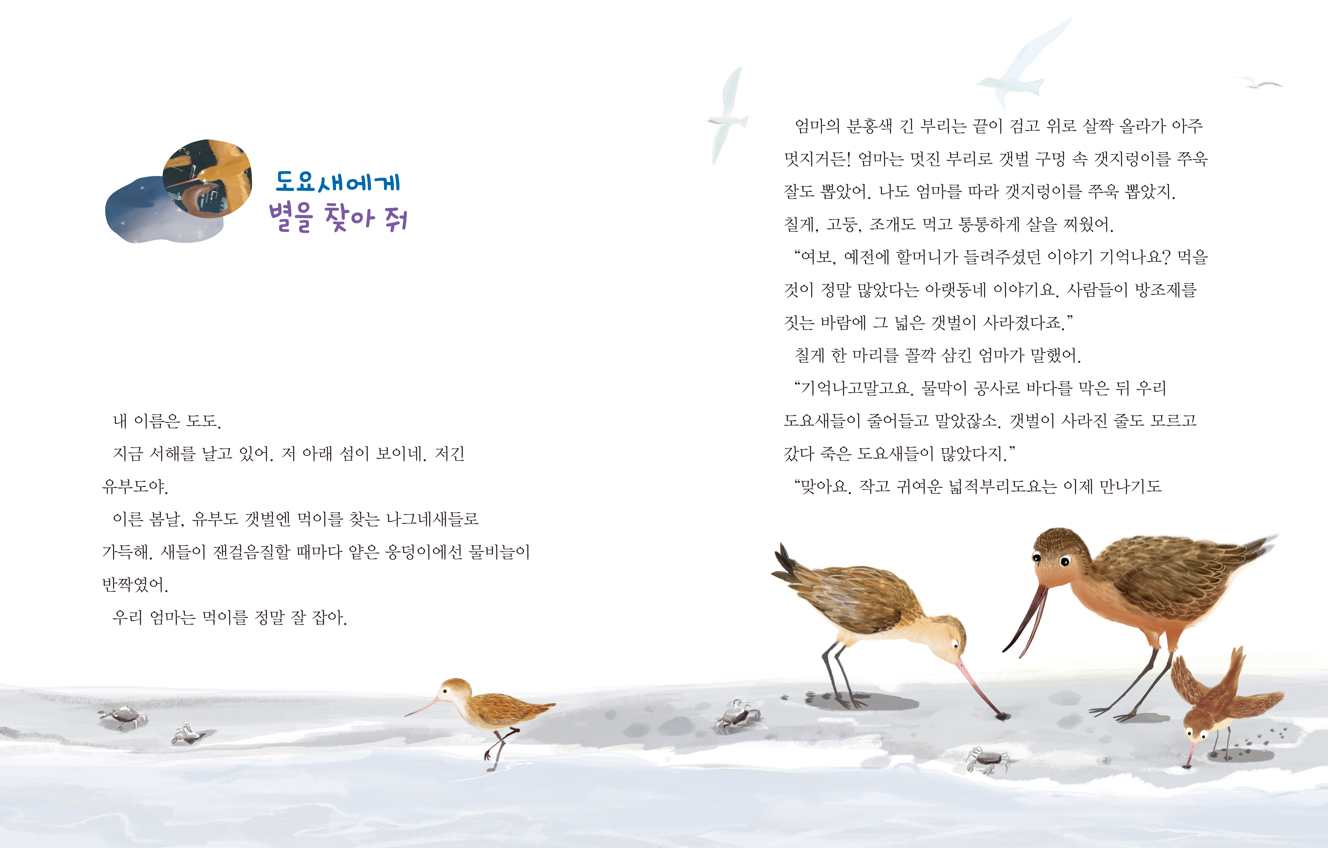 도요새에게 별을 찾아 줘 내 이름은 도도.  지금 서해를 날고 있어. 저 아래 섬이 보이네. 저긴 유부도야. 이른 봄날, 유부도 갯벌엔 먹이를 찾는 나그네새들로 가득해 새들이 잰걸음질할 때마다 얕은 웅덩이에선 물비늘이 반짝였어. 우리 엄마는 먹이를 정말 잘 잡아. 엄마의 분홍색 긴 부리는 끝이 검고 위로 살짝 올라가 아주 멋지거든! 엄마는 멋진 부리로 갯벌 구멍 속 갯지렁이를 쭈욱 잘도 뽑았어. 나도 엄마를 따라 갯지렁이를 쭈욱 뽑았지. 칠게, 고둥, 조개도 먹고 통통하게 살을 찌웠어. 