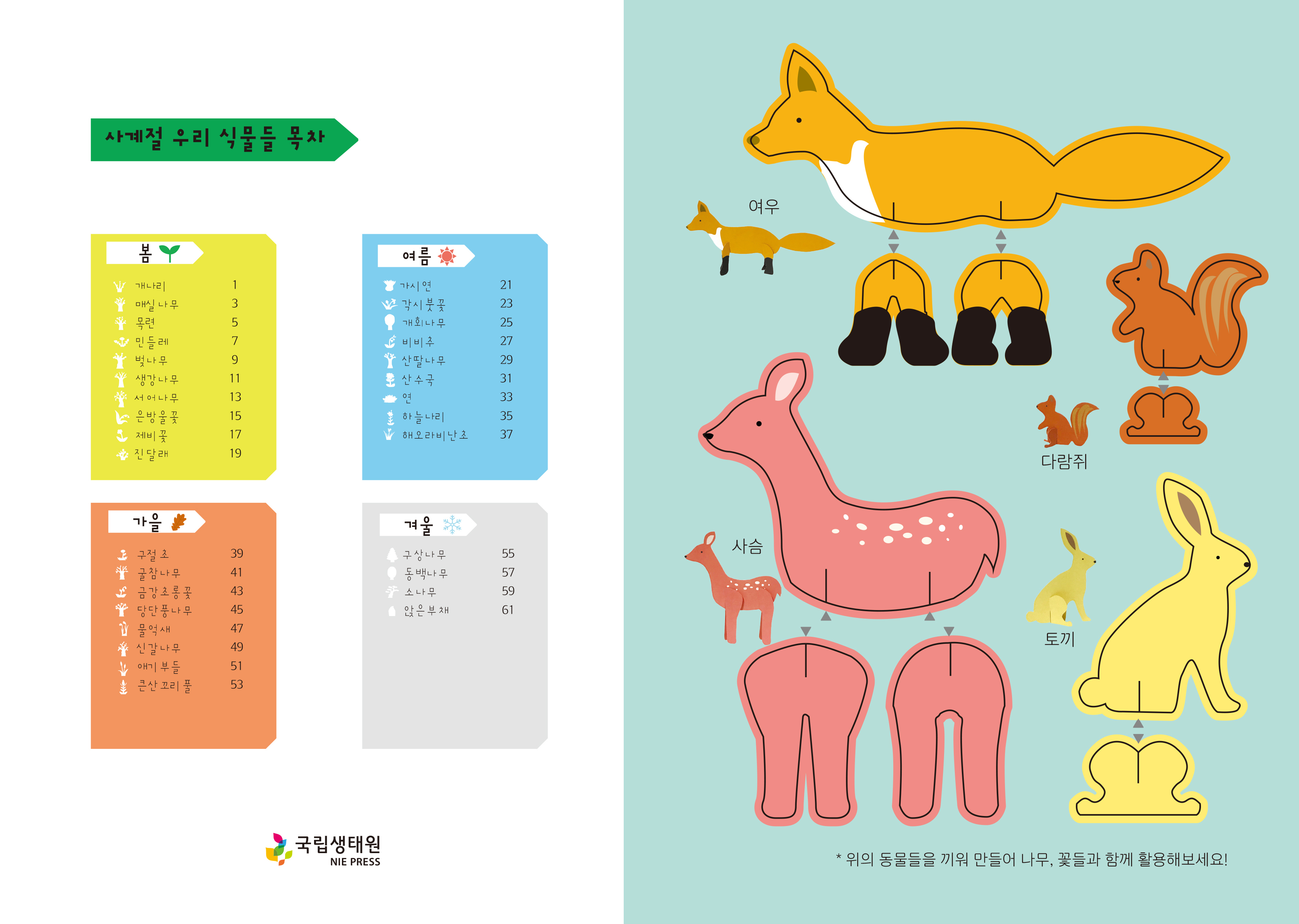 사계절 우리 식물들 목차  봄 개나리 1 매실나무 3 목련 5 민들레 7 벚나무 9 생강나무 11 서어나무 13 은방울꽃 15 제비꽃 17 진달래 19 여름  가시연 21 각시붓꽃 23 개회나무 25 비비추 27 산딸나무 29 산수국 31 연 33 하늘나리 35  해오라비난초 37 가을 구절 초 39 굴참나무 41 금강초롱꽃 43 당단풍나무 45 물억새 47 신갈나무 49 애기부들 51 큰산 꼬리 풀 53 겨울  구상나무 55 동백나무 57 소나무 59 앉은부채 61 여우 다람쥐 사슴 토끼 위의 동물들을 끼워 만들어 나무, 꽃들과 함께 활용해보세요!  국립생태원 NIE PRESS