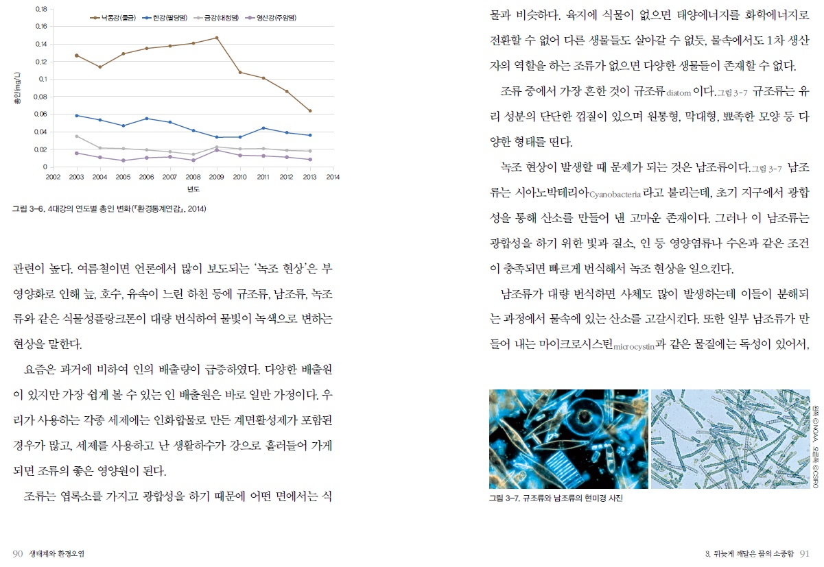 - 낙동강 (금) 한강팔당댐) - 금강 대청댐) - 영산강 (주암댐) 물과 비슷하다. 육지에 식물이 없으면 태양에너지를 화학에너지로 전환할 수 없어 다른 생물들도 살아갈 수 없듯, 물속에서도 1차 생산 $21mg/L) 자의 역할을 하는 조류가 없으면 다양한 생물들이 존재할 수 없다. 조류 중에서 가장 흔한 것이 규조류diatom 이다. 그림 3-7 규조류는 유 리 성분의 단단한 껍질이 있으며 원통형, 막대형, 뾰족한 모양 등 다 양한 형태를 띤다. 2002 2003 2004 2005 2006 2007 2009 2010 2011 2012 2013 2014 2008 년도 그림 3-6. 4대강의 연도별 총인 변화(환경통계연감』, 2014) 녹조 현상이 발생할 때 문제가 되는 것은 남조류이다. 그림 3-7 남조 류는 시아노박테리아 cyanobacteria 라고 불리는데, 초기 지구에서 광합 성을 통해 산소를 만들어 낸 고마운 존재이다. 그러나 이 남조류는 광합성을 하기 위한 빛과 질소, 인 등 영양염류나 수온과 같은 조건 관련이 높다. 여름철이면 언론에서 많이 보도되는 '녹조 현상'은 부 영양화로 인해 늪, 호수, 유속이 느린 하천 등에 규조류, 남조류, 녹조 류와 같은 식물성플랑크톤이 대량 번식하여 물빛이 녹색으로 변하는 이 충족되면 빠르게 번식해서 녹조 현상을 일으킨다. 남조류가 대량 번식하면 사체도 많이 발생하는데 이들이 분해되 는 과정에서 물속에 있는 산소를 고갈시킨다. 또한 일부 남조류가 만 현상을 말한다. 들어 내는 마이크로시스틴 microcystin과 같은 물질에는 독성이 있어서, | 요즘은 과거에 비하여 인의 배출량이 급증하였다. 다양한 배출원 이 있지만 가장 쉽게 볼 수 있는 인 배출원은 바로 일반 가정이다. 우 리가 사용하는 각종 세제에는 인화합물로 만든 계면활성제가 포함된 경우가 많고, 세제를 사용하고 난 생활하수가 강으로 흘러들어 가게 되면 조류의 좋은 영양원이 된다. 12 0 왼쪽 O NOAA 오른쪽 CSFO 조류는 엽록소를 가지고 광합성을 하기 때문에 어떤 면에서는 식 그림 3-7. 규조류와 남조류의 현미경 사진 190 생태계와 환경오염 3. 뒤늦게 깨달은 물의 소중함 91