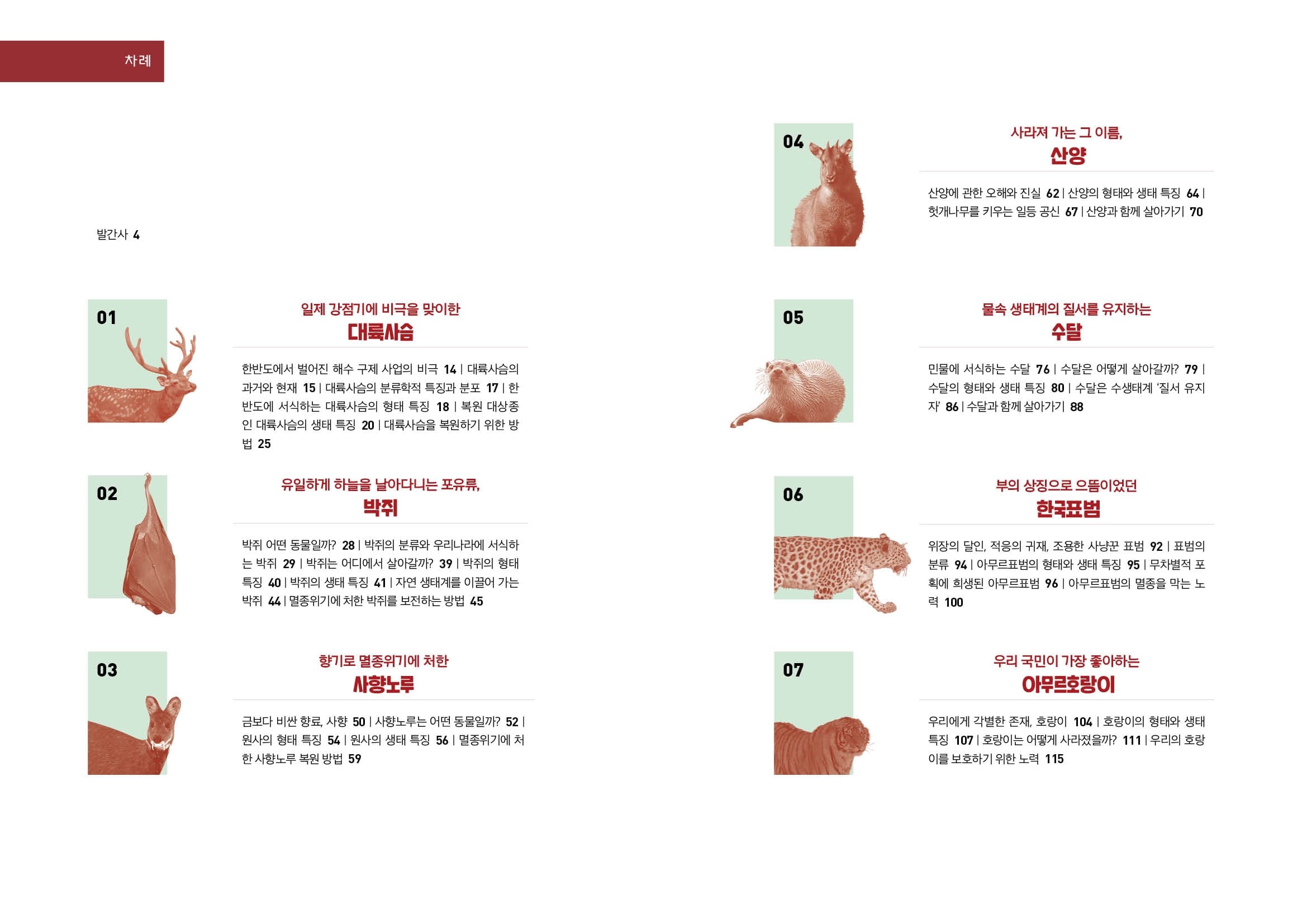 차례 사라져 가는 그 이름, 산양 산양에 관한 오해와 진실 62 | 산양의 형태와 생태 특징 64 | 헛개나무를 키우는 일등 공신 67 | 산양과 함께 살아가기 70 발간사 4 물속 생태계의 질서를 유지하는 일제 강점기에 비극을 맞이한 대륙사슴 수달 한반도에서 벌어진 해수 구제 사업의 비극 14 | 대륙사슴의 과거와 현재 15 | 대륙사슴의 분류학적 특징과 분포 17 | 한 반도에 서식하는 대륙사슴의 형태 특징 18 | 복원 대상종 인 대륙사슴의 생태 특징 20 | 대륙사슴을 복원하기 위한 방 법 25 민물에 서식하는 수달 76 | 수달은 어떻게 살아갈까? 79 | 수달의 형태와 생태 특징 80 | 수달은 수생태계 질서 유지 자' 86 | 수달과 함께 살아가기 88 02 유일하게 하늘을 날아다니는 포유류, 박쥐.. 부의 상징으로 으뜸이었던 한국표범 박쥐 어떤 동물일까? 28 | 박쥐의 분류와 우리나라에 서식하 는 박쥐 29 | 박쥐는 어디에서 살아갈까? 39 | 박쥐의 형태 특징 40 | 박쥐의 생태 특징 41 | 자연 생태계를 이끌어 가는 박쥐 44 | 멸종위기에 처한 박쥐를 보전하는 방법 45 위장의 달인, 적응의 귀재, 조용한 사냥꾼 표범 92 | 표범의 분류 94 | 아무르표범의 형태와 생태 특징 95 | 무차별적 포 획에 희생된 아무르표범 96 | 아무르표범의 멸종을 막는 노 력 100 03 향기로 멸종위기에 처한 사향노루 우리 국민이 가장 좋아하는 아무르호랑이 금보다 비싼 향료, 사향 50 | 사향노루는 어떤 동물일까? 52 | 원사의 형태 특징 54 | 원사의 생태 특징 56 | 멸종위기에 처 한 사향노루 복원 방법 59 우리에게 각별한 존재, 호랑이 104 | 호랑이의 형태와 생태 특징 107 | 호랑이는 어떻게 사라졌을까? 111 | 우리의 호랑 이를 보호하기 위한 노력 115