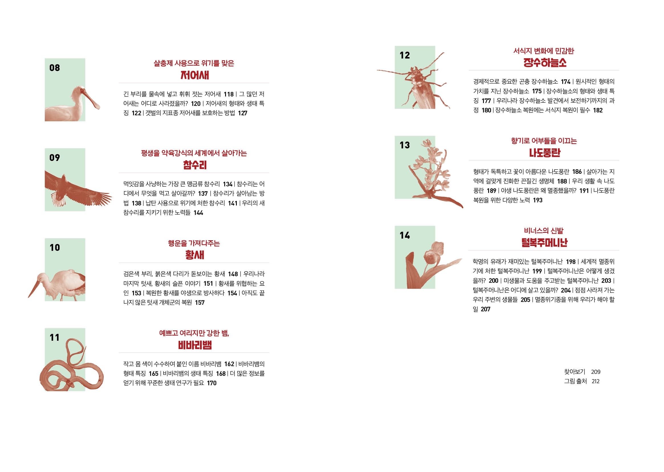 서식지 변화에 민감한 장수하늘소 살충제 사용으로 위기를 맞은 저어새 긴 부리를 물속에 넣고 휘휘 젓는 저어새 118 | 그 많던 저 어새는 어디로 사라졌을까? 120 | 저어새의 형태와 생태 특 징 122 | 갯벌의 지표종 저어새를 보호하는 방법 127 경제적으로 중요한 곤충 장수하늘소 174 | 원시적인 형태의 가치를 지닌 장수하늘소 175 | 장수하늘소의 형태와 생태 특 징 177 | 우리나라 장수하늘소 발견에서 보전하기까지의 과 정 180 | 장수하늘소 복원에는 서식지 복원이 필수 182 12 향기로 어부들을 이끄는 나도풍란 09 평생을 약육강식의 세계에서 살아가는 참수리 먹잇감을 사냥하는 가장 큰 맹금류 참수리 134 | 참수리는 어 디에서 무엇을 먹고 살아갈까? 137 | 참수리가 살아남는 방 법 138 | 납탄 사용으로 위기에 처한 참수리 141 | 우리의 새 참수리를 지키기 위한 노력들 144 형태가 독특하고 꽃이 아름다운 나도풍란 186 | 살아가는 지 역에 걸맞게 진화한 끈질긴 생명체 188 | 우리 생활 속 나도 풍란 189 | 야생 나도풍란은 왜 멸종했을까? 191 나도풍란 복원을 위한 다양한 노력 193 비너스의 신발 털복주머니난 운을 가져다주는 황새 검은색 부리, 붉은색 다리가 돋보이는 황새 148 | 우리나라 마지막 텃새, 황새의 슬픈 이야기 151 | 황새를 위협하는 요 인 153 | 복원한 황새를 야생으로 방사하다 154 | 아직도 끝 나지 않은 텃새 개체군의 복원 157 학명의 유래가 재미있는 털복주머니난 198 | 세계적 멸종위 기에 처한 털복주머니난 199 | 털복주머니난은 어떻게 생겼 을까? 200 | 미생물과 도움을 주고받는 털복주머니난 203 | 털복주머니난은 어디에 살고 있을까? 204 | 점점 사라져 가는 우리 주변의 생물들 205 | 멸종위기종을 위해 우리가 해야 할 일 207 예쁘고 여리지만 강한 뱀, 비바리뱀 작고 몸 색이 수수하여 붙인 이름 비바리뱀 162 | 비바리뱀의 형태 특징 165 | 비바리뱀의 생태 특징 168 | 더 많은 정보를 얻기 위해 꾸준한 생태 연구가 필요 170 찾아보기 209 그림 출처 212