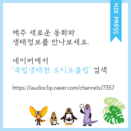 NIE PRESS 매주 새로운 동화와 생태정보를 만나보세요. 네이버에서 '국립생태원 오디오클립’ 검색 https://audioclip.naver.com/channels/7357