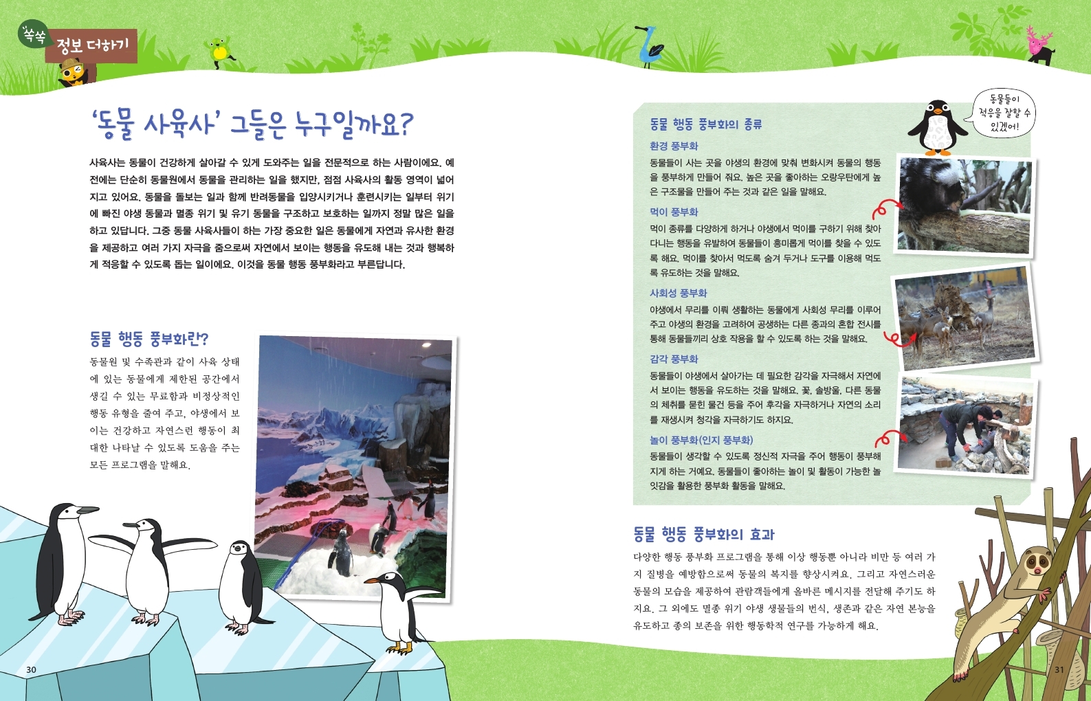 쏙쏙 정보더하기 30 '동물 사육사' 그들은 누구일까요? 사육사는 동물이 건강하게 살아갈 수 있게 도와주는 일을 전문적으로 하는 사람이에요. 예 전에는 단순히 동물원에서 동물을 관리하는 일을 했지만, 점점 사육사의 활동 영역이 넓어 지고 있어요. 동물을 돌보는 일과 함께 반려동물을 입양시키거나 훈련시키는 일부터 위기 에 빠진 야생 동물과 멸종 위기 및 유기 동물을 구조하고 보호하는 일까지 정말 많은 일을 하고 있답니다. 그중 동물 사육사들이 하는 가장 중요한 일은 동물에게 자연과 유사한 환경 을 제공하고 여러 가지 자극을 줌으로써 자연에서 보이는 행동을 유도해 내는 것과 행복하 게 적응할 수 있도록 돕는 일이에요. 이것을 동물 행동 풍부화라고 부른답니다. 동물 행동 풍부화란? 동물원 및 수족관과 같이 사육 상태 에 있는 동물에게 제한된 공간에서 생길 수 있는 무료함과 비정상적인 행동 유형을 줄여 주고, 야생에서 보 이는 건강하고 자연스런 행동이 최 대한 나타날 수 있도록 도움을 주는 모든 프로그램을 말해요. 동물 행동 풍부화의 종류 환경 풍부화 동물들이 사는 곳을 야생의 환경에 맞춰 변화시켜 동물의 행동 을 풍부하게 만들어 줘요. 높은 곳을 좋아하는 오랑우탄에게 높 은 구조물을 만들어 주는 것과 같은 일을 말해요. 먹이 풍부화 먹이 종류를 다양하게 하거나 야생에서 먹이를 구하기 위해 찾아 다니는 행동을 유발하여 동물들이 흥미롭게 먹이를 찾을 수 있도 록 해요. 먹이를 찾아서 먹도록 숨겨 두거나 도구를 이용해 먹도 록 유도하는 것을 말해요. 사회성 풍부화 야생에서 무리를 이뤄 생활하는 동물에게 사회성 무리를 이루어 주고 야생의 환경을 고려하여 공생하는 다른 종과의 혼합 전시를 통해 동물들끼리 상호 작용을 할 수 있도록 하는 것을 말해요. 감각 풍부화 동물들이 야생에서 살아가는 데 필요한 감각을 자극해서 자연에 서 보이는 행동을 유도하는 것을 말해요. 꽃, 솔방울, 다른 동물 의 체취를 묻힌 물건 등을 주어 후각을 자극하거나 자연의 소리 를 재생시켜 청각을 자극하기도 하지요. 놀이 풍부화(인지 풍부화) 동물들이 생각할 수 있도록 정신적 자극을 주어 행동이 풍부해 지게 하는 거예요. 동물들이 좋아하는 놀이 및 활동이 가능한 놀 잇감을 활용한 풍부화 활동을 말해요. 동물 행동 풍부화의 효과 다양한 행동 풍부화 프로그램을 통해 이상 행동뿐 아니라 비만 등 여러 가 지 질병을 예방함으로써 동물의 복지를 향상시켜요. 그리고 자연스러운 동물의 모습을 제공하여 관람객들에게 올바른 메시지를 전달해 주기도 하 지요. 그 외에도 멸종 위기 야생 생물들의 번식, 생존과 같은 자연 본능을 유도하고 종의 보존을 위한 행동학적 연구를 가능하게 해요. 동물들이 적응을 잘할 수 있겠어!