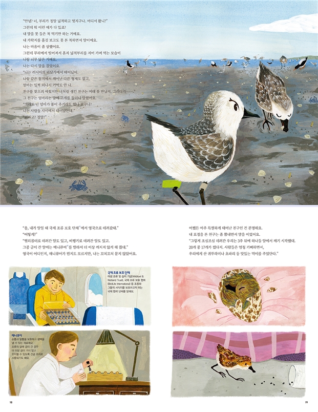 안녕? 너, 부리가 정말 넓적하고 멋지구나. 어디서 왔니? 그런데 뭐 이런 애가 다 있죠? 내 말을 못 들은 척 먹기만 하는거에요. 내가락지를 홈짓 보고도 못 본 척하면서 말이에요 나는 마음이 좀 상했어요. 그런데 무리에서 떨어져서 혼자 넓적부리를 지어 가며 먹는 모습이 나랑너무닮은거에요 나는 다시 말을 걸었어요. 나는 러시아의 바닷가에서 태어났어 나랑 같은 등지에서 깨어난다른 형제도 없고 엄마는 일찍 떠나서 기억도안나 친구를 찾으려 애썼지만 나처럼 생긴 친구는 이때 옷 만났지. 그러다가...... 그 친구는 엄마라는 말에 고개를 들더니 말했어요. 그래도 넌 엄마가 품어주기라도 했나 보구나? 나는사람들 사이에서 태어났는데 뭐라고? 정말? 응, 내가 말일 때 국제 조류 보호 단체에서 영국으로 데려갔다. 어떻게 헬리콥터로 데려간 알도 있고, 비행기로 데려간 알도 있고 그중 금이 간 알에는 매니큐어를 발라서 더 이상 깨지지 않게 해줬다 영국이 어디인지, 매니큐어가 뭔지도 모르지만 나는 꼬치꼬치 묻지 않았어요 어쨌든 아주 특별하게 태어난 친구인 건 분명해요. 내 표정을 본 친구는 좀 뽐내면서 말을 이었어요 그렇게 조심조심 데려간 우리는 3주뒤에 하나알에서 깨기 시작했다 20개 중 17개가 다지. 사람들은 엄청 기뻐하면서 우리에게산귀뚜라미나 초파리 등 맛있는 먹이를 주었단다. 국제 조류 보호 단체 매니큐어