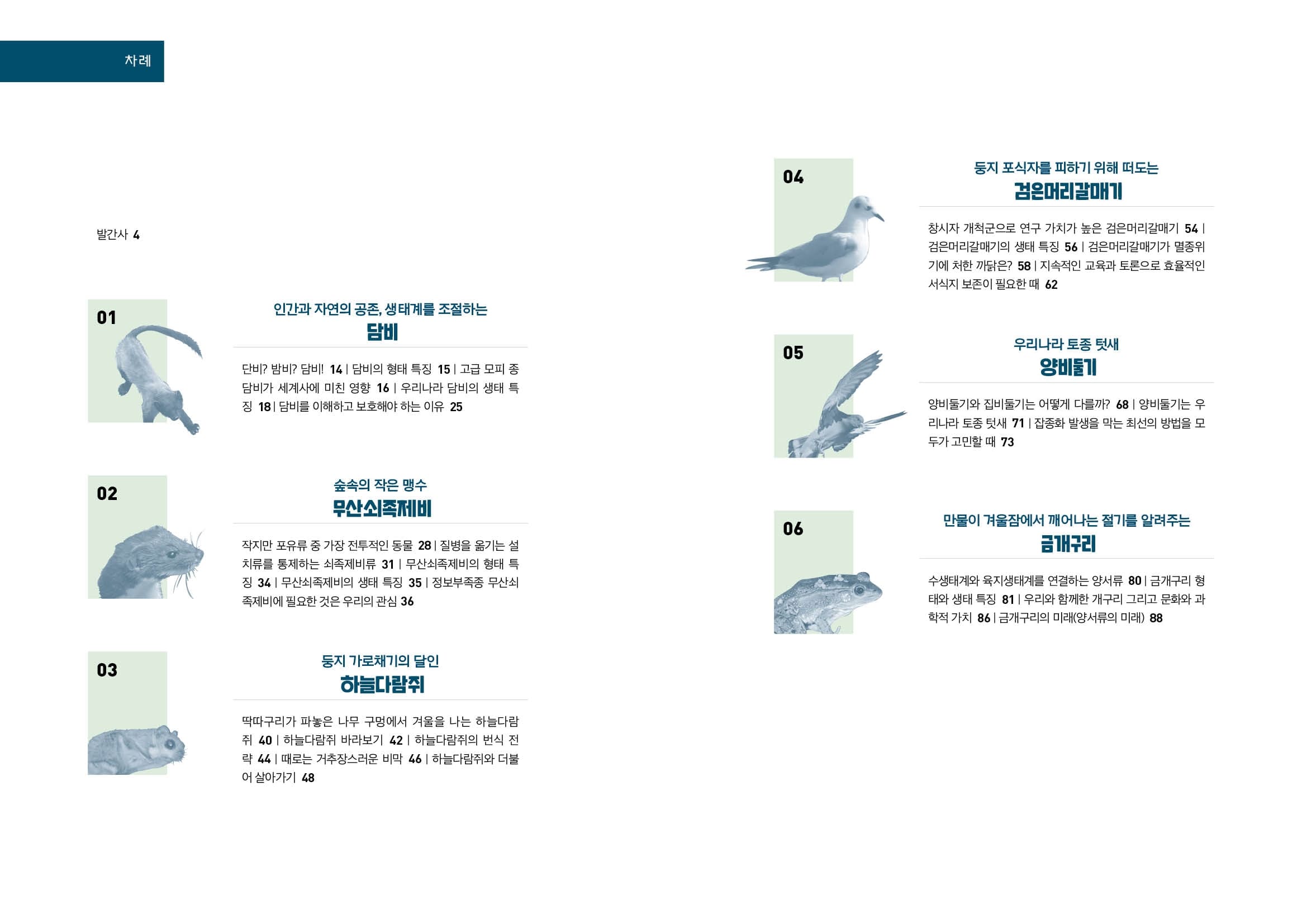 차례 둥지 포식자를 피하기 위해 떠도는 검은머리갈매기 발간사 4 창시자 개척군으로 연구 가치가 높은 검은머리갈매기 54 | 검은머리갈매기의 생태 특징 56 | 검은머리갈매기가 멸종위 기에 처한 까닭은? 58 | 지속적인 교육과 토론으로 효율적인 서식지 보존이 필요한 때 62 인간과 자연의 공존, 생태계를 조절하는 담비. 05 우리나라 토종 텃새 양들 단비? 밤비? 담비! 14 | 담비의 형태 특징 15 | 고급 모피 종 담비가 세계사에 미친 영향 16 | 우리나라 담비의 생태 특 징 18 | 담비를 이해하고 보호해야 하는 이유 25 양비둘기와 집비둘기는 어떻게 다를까? 68 | 양비둘기는 우 리나라 토종 텃새 71 | 잡종화 발생을 막는 최선의 방법을 모 두가 고민할 때 73 숲속의 작은 맹수 무산쇠족제비 만물이 겨울잠에서 깨어나는 절기를 알려주는 금개구리 작지만 포유류 중 가장 전투적인 동물 28 | 질병을 옮기는 설 치류를 통제하는 쇠족제비류 31 | 무산쇠족제비의 형태 특 징 34 | 무산쇠족제비의 생태 특징 35 | 정보부족종 무산쇠 족제비에 필요한 것은 우리의 관심 36 수생태계와 육지생태계를 연결하는 양서류 80 | 금개구리 형 태와 생태 특징 81 | 우리와 함께한 개구리 그리고 문화와 과 학적 가치 86 | 금개구리의 미래(양서류의 미래) 88 03 둥지 가로채기의 달인 하늘다람쥐 딱따구리가 파놓은 나무 구멍에서 겨울을 나는 하늘다람 쥐 40 | 하늘다람쥐 바라보기 42 | 하늘다람쥐의 번식 전 략 44 | 때로는 거추장스러운 비막 46 | 하늘다람쥐와 더불 어 살아가기 48