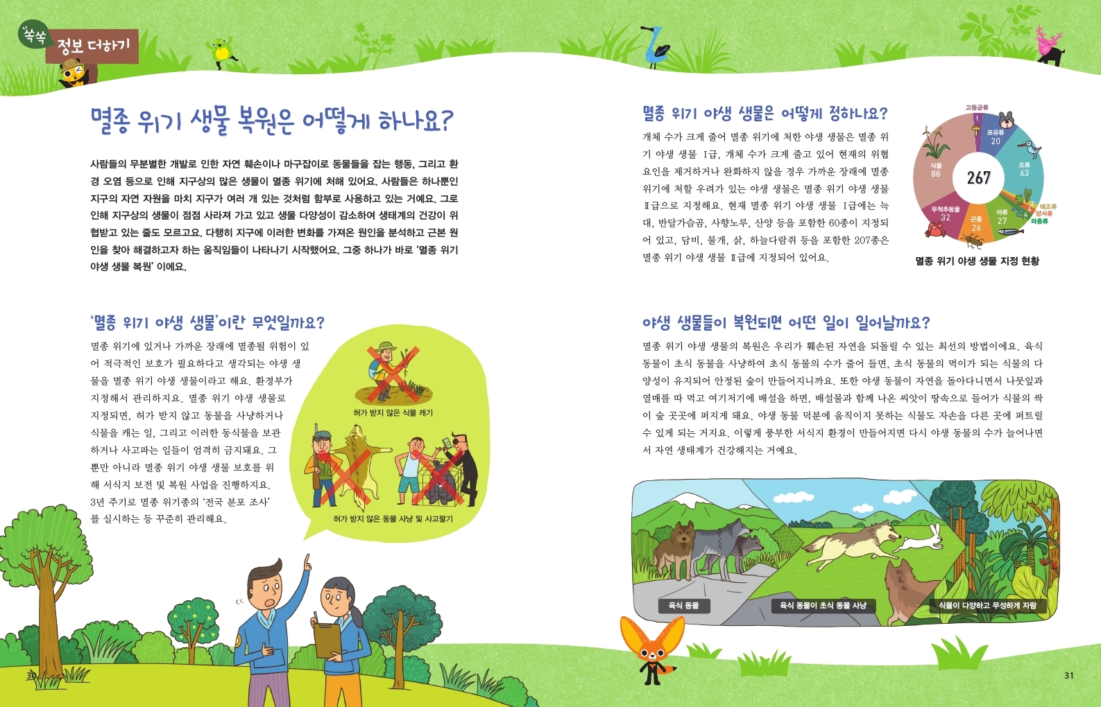 쏙쏙 정보더하기 멸종 위기 생물 복원은 어떻게 하나요? 사람들의 무분별한 개발로 인한 자연 훼손이나 마구잡이로 동물들을 잡는 행동, 그리고 환 경오염 등으로 인해 지구상의 많은 생물이 멸종 위기에 처해 있어요. 사람들은 하나뿐인 지구의 자연 자원을 마치 지구가 여러 개 있는 것처럼 함부로 사용하고 있는 거예요. 그로 인해 지구상의 생물이 점점 사라져 가고 있고 생물 다양성이 감소하여 생태계의 건강이 위 협받고 있는 줄도 모르고요. 다행히 지구에 이러한 변화를 가져온 원인을 분석하고 근본 원 인을 찾아 해결하고자 하는 움직임들이 나타나기 시작했어요. 그중 하나가 바로 '멸종 위기 야생 생물 복원' 이에요. 멸종 위기 야생 생물은 어떻게 정하나요? 개체 수가 크게 줄어 멸종 위기에 처한 야생 생물은 멸종 위 기 야생 생물 I급, 개체 수가 크게 줄고 있어 현재의 위협 요인을 제거하거나 완화하지 않을 경우 가까운 장래에 멸종 위기에 처할 우려가 있는 야생 생물은 멸종 위기 야생 생물 II급으로 지정해요. 현재 멸종 위기 야생 생물 [급에는 늑 대, 반달가슴곰, 사향노루, 산양 등을 포함한 60종이 지정되 어 있고, 담비, 물개, 삶, 하늘다람쥐 등을 포함한 207종은 멸종 위기 야생 생물 I급에 지정되어 있어요. 고등균류 T 포유류 20 식물 88 조류 267 무척추동물 32 곤충 어류 27 63 '해조류 양서류 파충류 멸종 위기 야생 생물 지정 현황 '멸종 위기 야생 생물'이란 무엇일까요? 멸종 위기에 있거나 가까운 장래에 멸종될 위험이 있 어 적극적인 보호가 필요하다고 생각되는 야생 생 물을 멸종 위기 야생 생물이라고 해요. 환경부가 지정해서 관리하지요. 멸종 위기 야생 생물로 지정되면, 허가 받지 않고 동물을 사냥하거나 식물을 캐는 일, 그리고 이러한 동식물을 보관 하거나 사고파는 일들이 엄격히 금지돼요. 그 뿐만 아니라 멸종 위기 야생 생물 보호를 위 해 서식지 보전 및 복원 사업을 진행하지요. 3년 주기로 멸종 위기종의 '전국 분포 조사' 를 실시하는 등 꾸준히 관리해요. 허가 받지 않은 식물 캐기 허가 받지 않은 동물 사냥 및 사고팔기 야생 생물들이 복원되면 어떤 일이 일어날까요? 멸종 위기 야생 생물의 복원은 우리가 훼손된 자연을 되돌릴 수 있는 최선의 방법이에요. 육식 동물이 초식 동물을 사냥하여 초식 동물의 수가 줄어 들면, 초식 동물의 먹이가 되는 식물의 다 양성이 유지되어 안정된 숲이 만들어지니까요. 또한 야생 동물이 자연을 돌아다니면서 나뭇잎과 열매를 따 먹고 여기저기에 배설을 하면, 배설물과 함께 나온 씨앗이 땅속으로 들어가 식물의 싹 이 숲 곳곳에 퍼지게 돼요. 야생 동물 덕분에 움직이지 못하는 식물도 자손을 다른 곳에 퍼트릴 수 있게 되는 거지요. 이렇게 풍부한 서식지 환경이 만들어지면 다시 야생 동물의 수가 늘어나면 서 자연 생태계가 건강해지는 거예요. 육식 동물 육식 동물이 초식 동물 사냥 식물이 다양하고 무성하게 자람 31